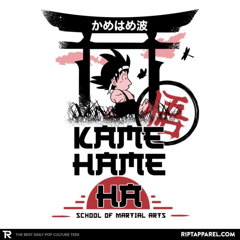 Kame School Of Martial Arts - Adult & Kids T-Shirts, Sweatshirts & Hoodies apparel design preview 1