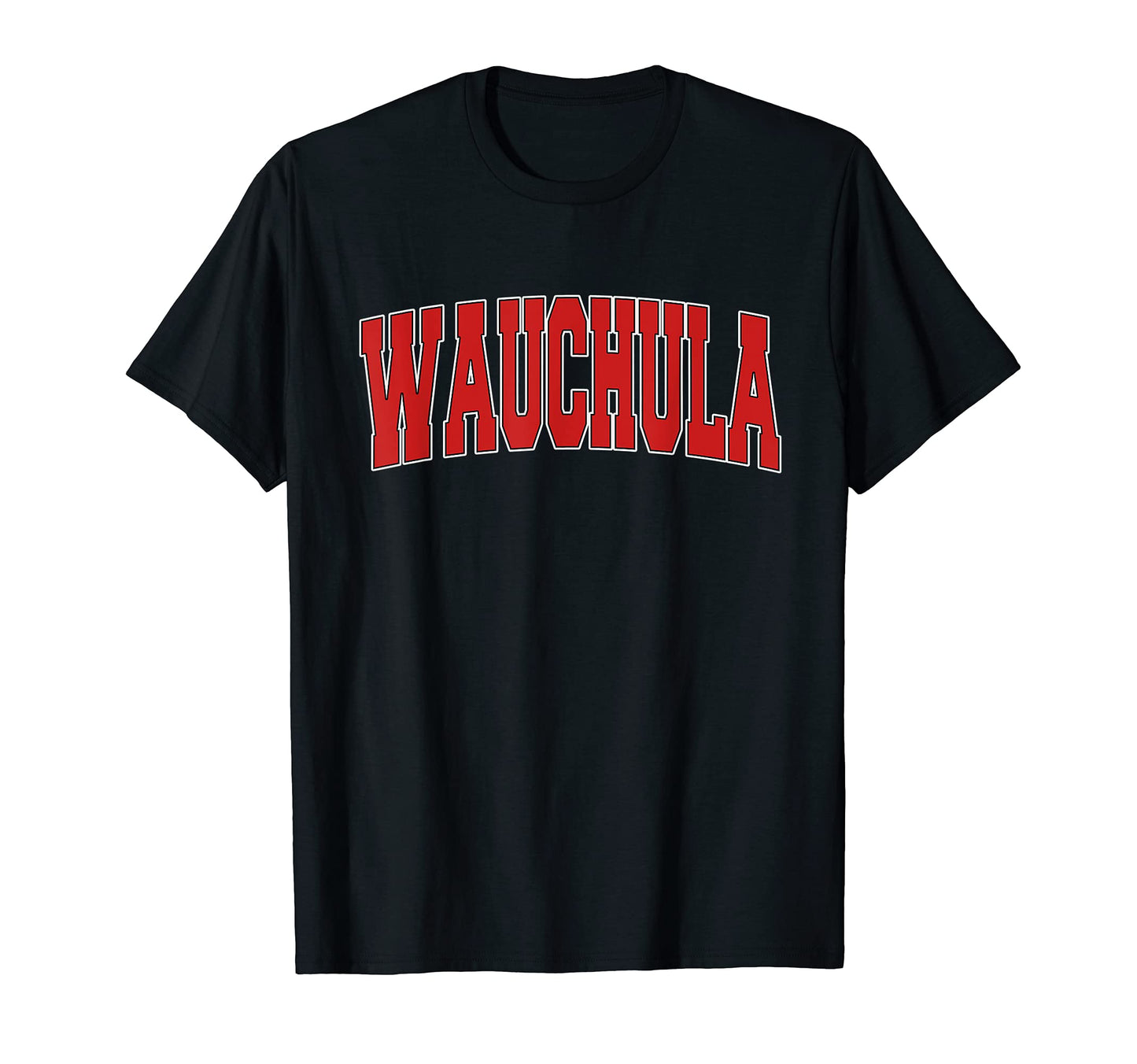 Wauchula Fl Florida Varsity Usa T-Shirt - Fun Novelty Design Men Women - T-Shirt, Sweatshirt, Hoodie