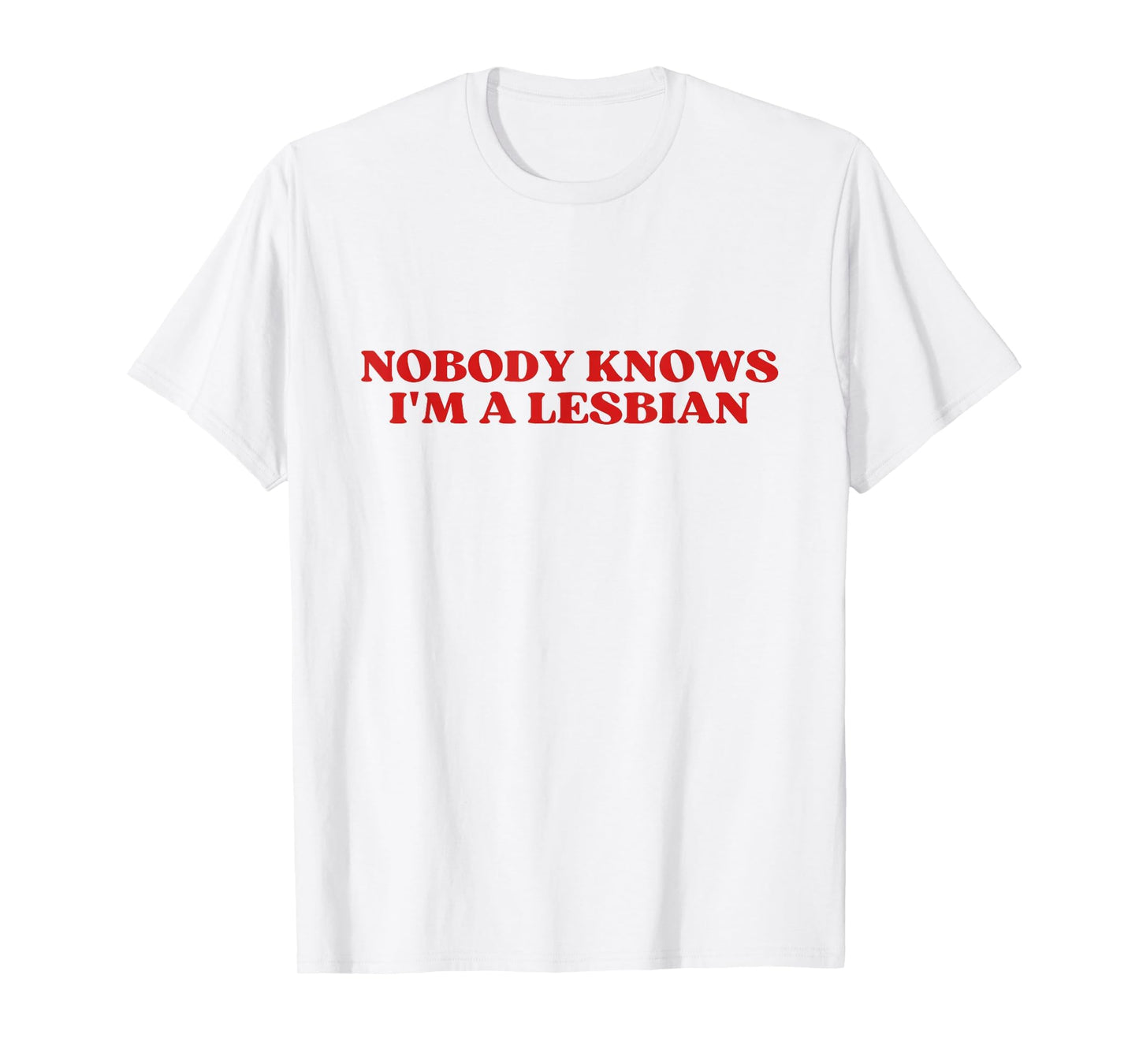 Nobody Knows Im Lesbian Y2K Aesthetic T-Shirt - Streetwear Style for Adults - T-Shirt, Sweatshirt, Hoodie