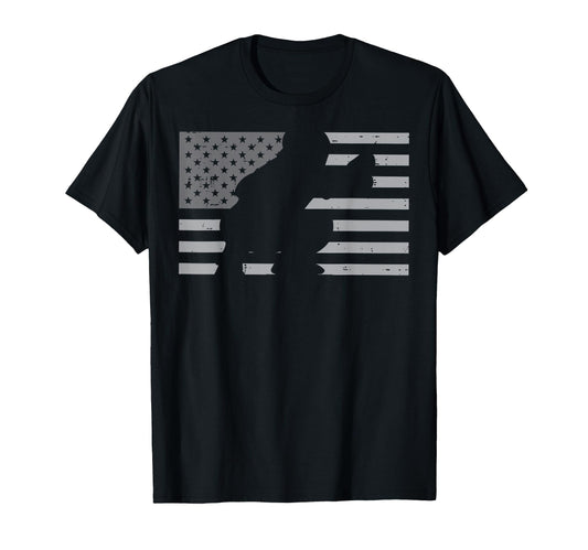 Baseball Catcher American Flag Usa T-Shirt - Streetwear Style Unisex - T-Shirt, Sweatshirt, Hoodie