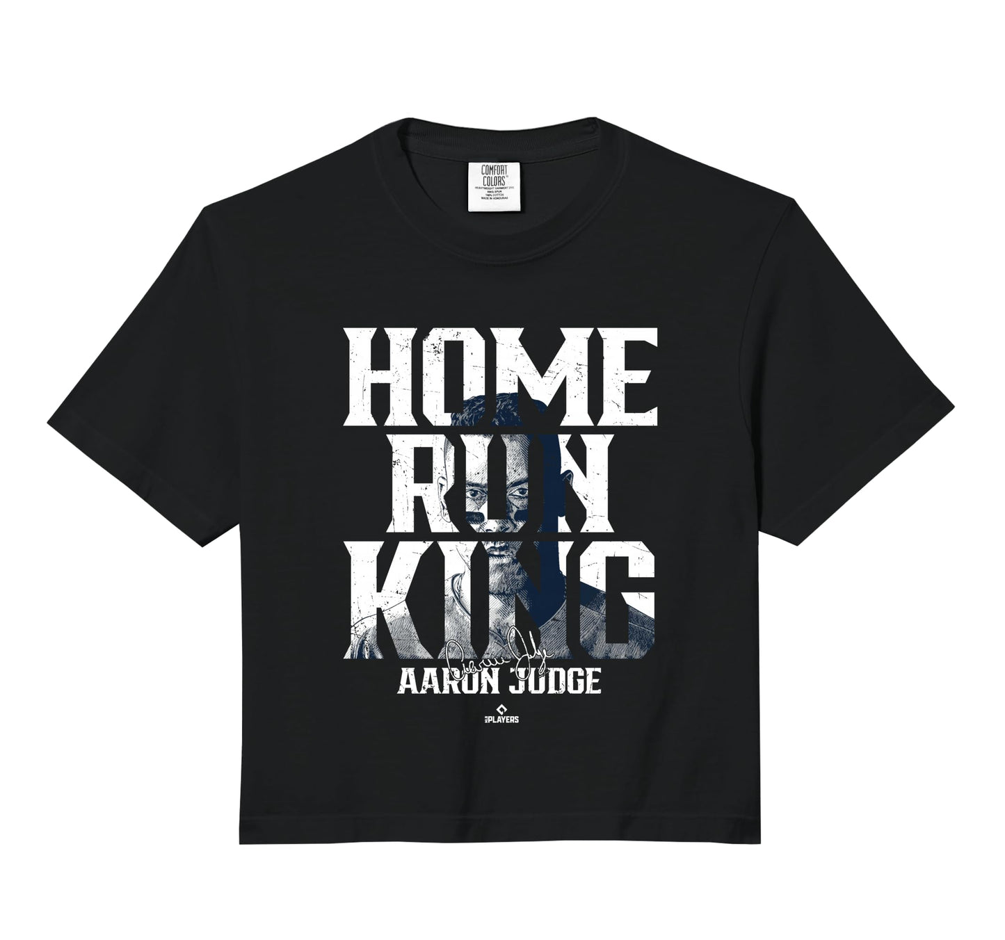 Home Run King Portrait Aaron Sweatshirt - Custom Art Print for Adults - T-Shirt, Sweatshirt, Hoodie