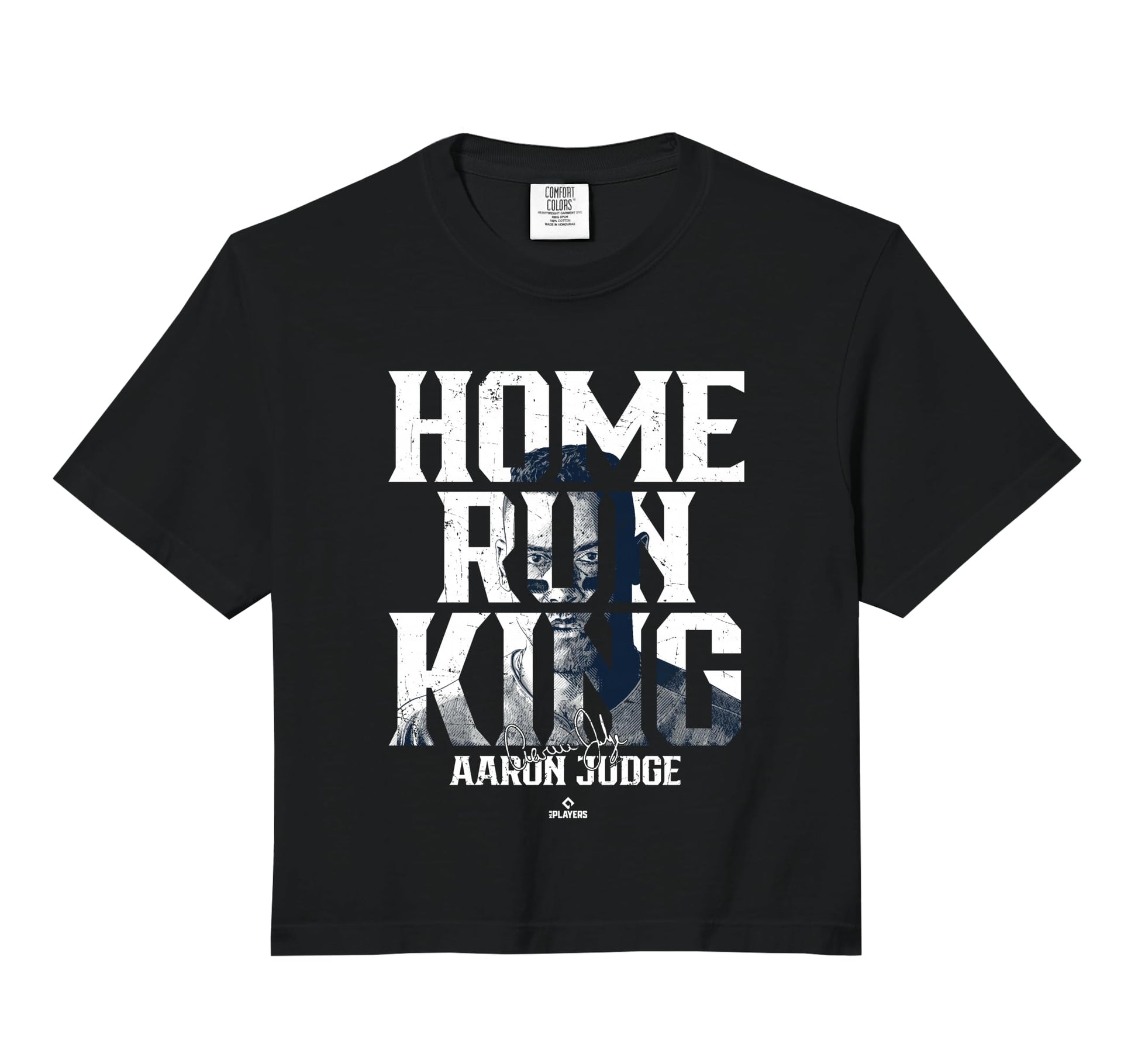 Home Run King Portrait Aaron Sweatshirt - Custom Art Print for Adults - T-Shirt, Sweatshirt, Hoodie