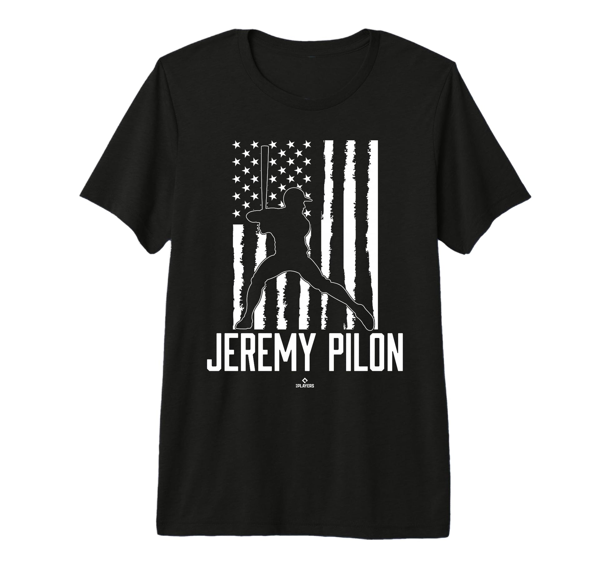 Distressed Flag Swing Jeremy Pilon T-Shirt - Aesthetic Graphic for Adults - T-Shirt, Sweatshirt, Hoodie