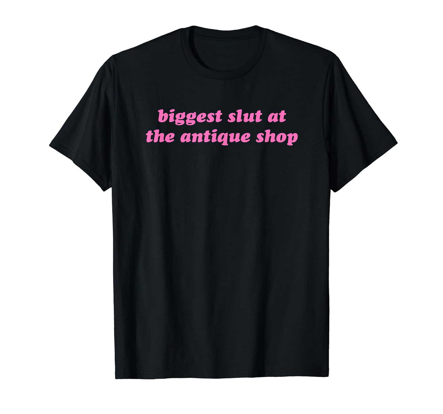 Biggest Slut Antique Shop Funny Y2K T-Shirt - Unique Graphic for Adults - T-Shirt, Sweatshirt, Hoodie