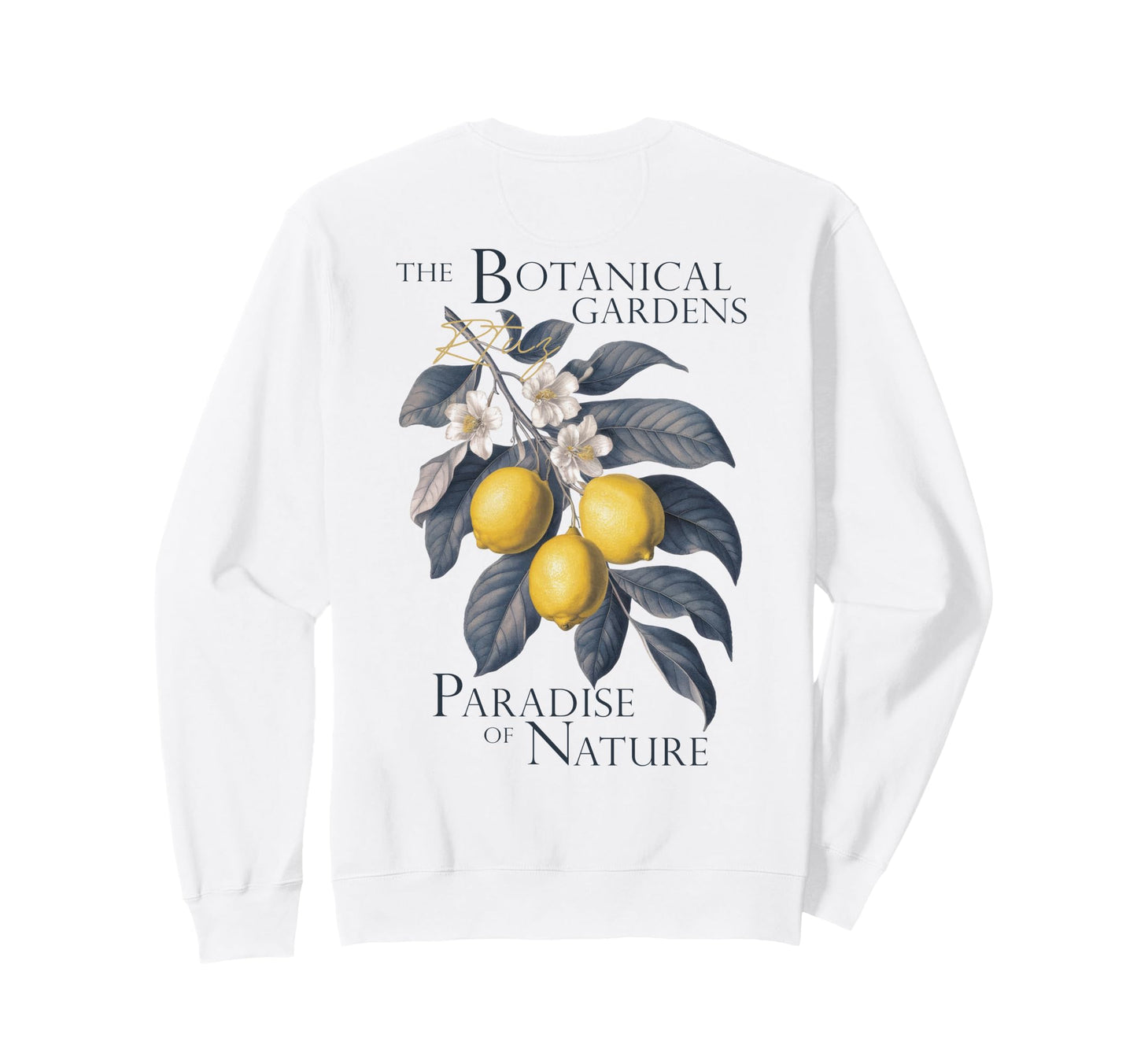 Fruit Y2K Back Streetwear Sweatshirt - Unique Graphic Unisex - T-Shirt, Sweatshirt, Hoodie