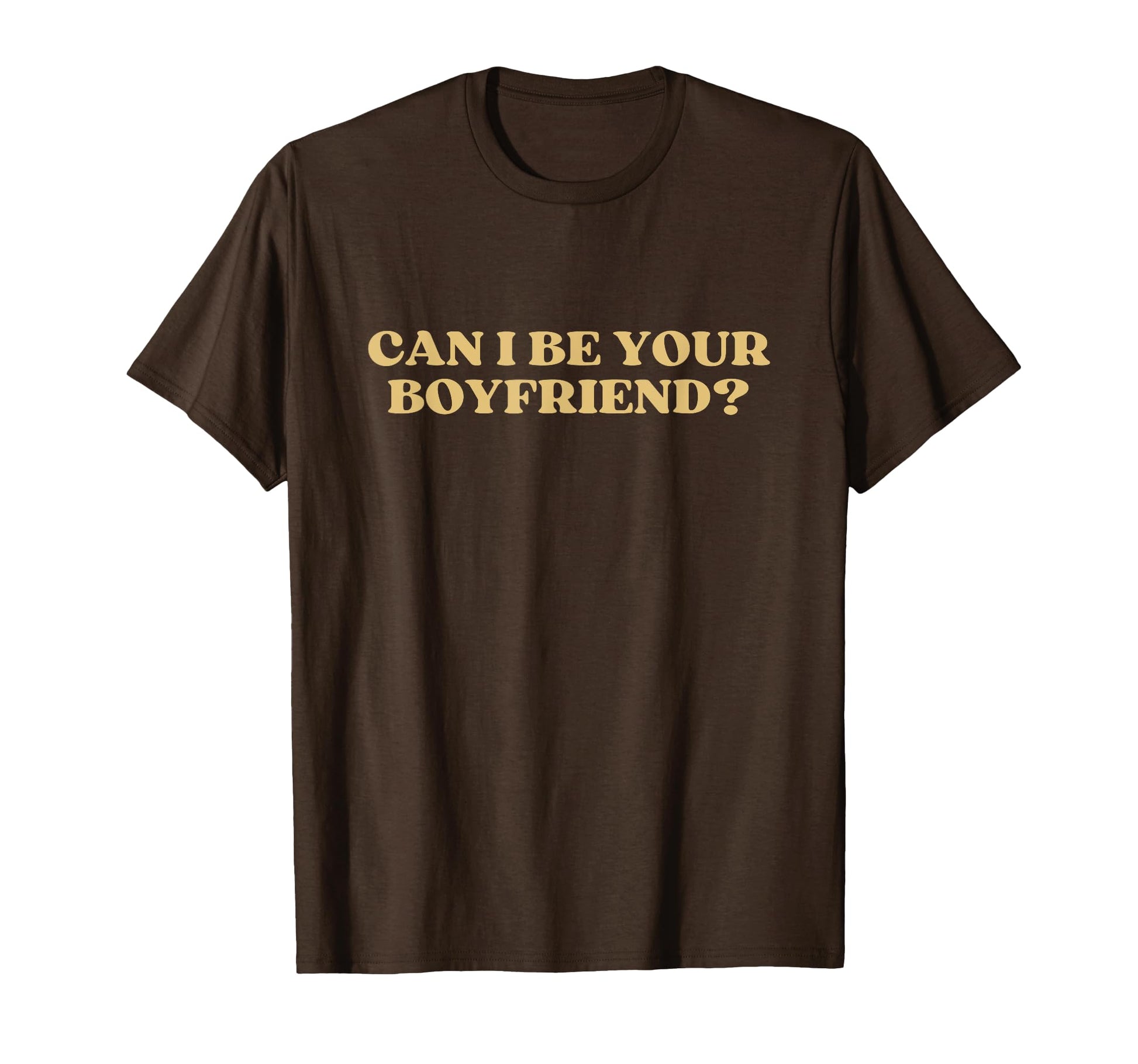 Can I Be Your Boyfriend Y2K Aesthetic T-Shirt - Minimalist Print Unisex - T-Shirt, Sweatshirt, Hoodie