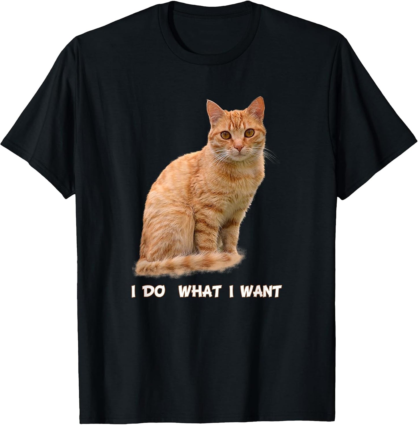 I Make What Want Funny Orange Tabby Cat Lovers - Adult & Kids T-Shirts, Sweatshirts & Hoodies apparel design preview 1