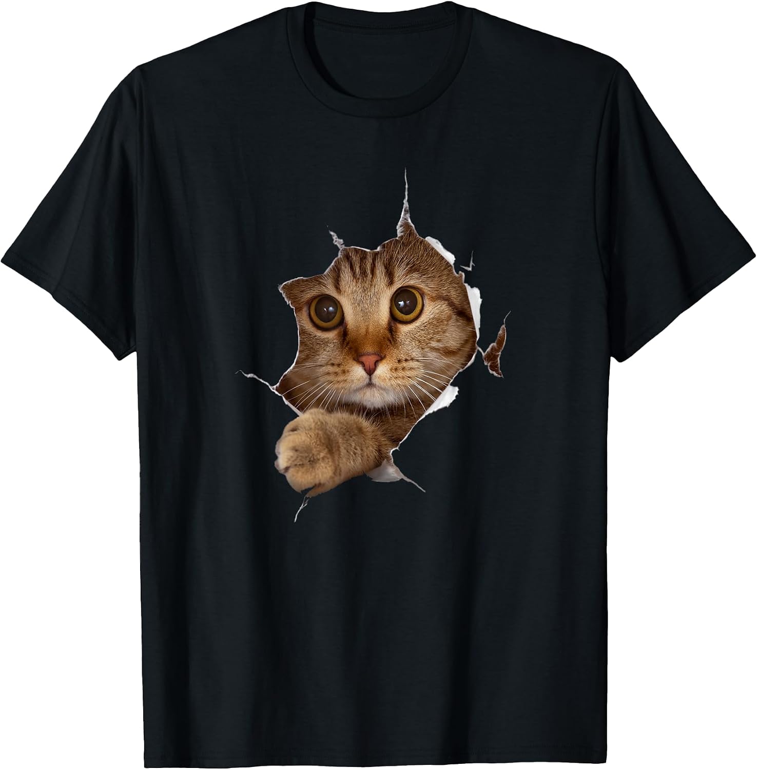 Sweet Kitten Torn Cloth Funny Cat Lover Owner Lady - Adult & Kids T-Shirts, Sweatshirts & Hoodies apparel design preview 1