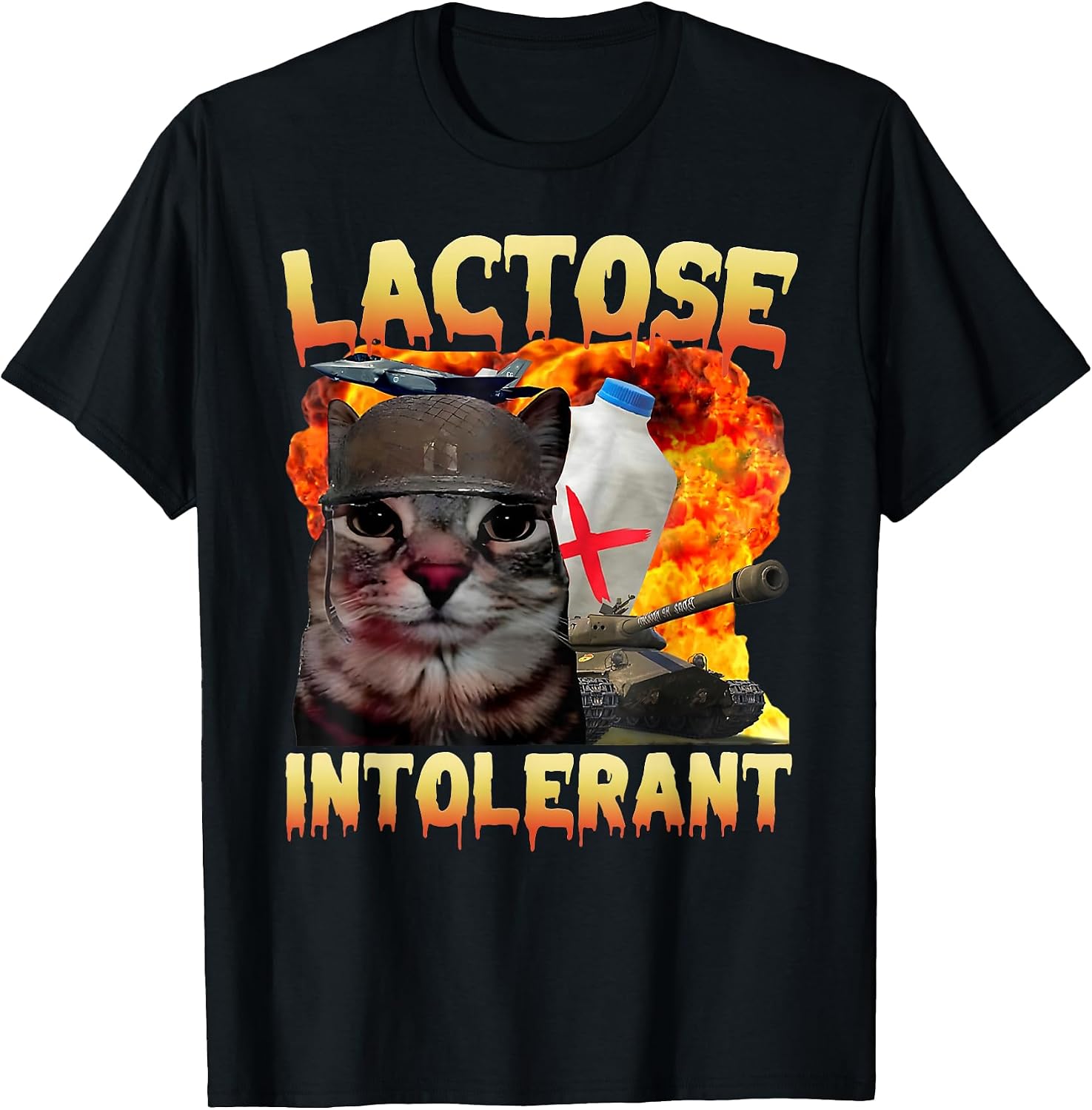 Lactose Intolerant Silly Cat Meme Funny Saying Lover - Adult & Kids T-Shirts, Sweatshirts & Hoodies apparel design preview 1