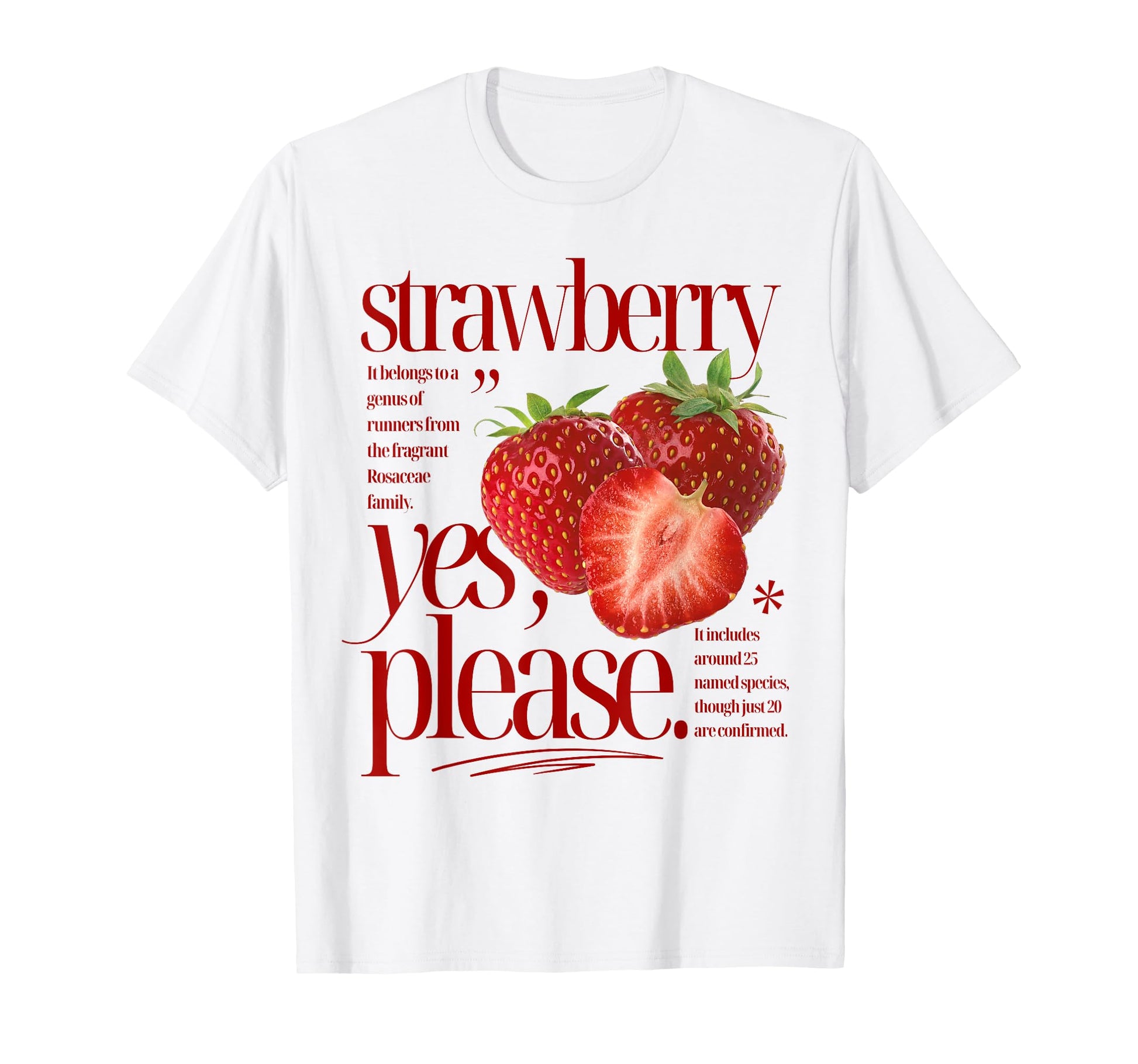 Strawberry Yes Please Fruit T-Shirt - Streetwear Style for Adults - T-Shirt, Sweatshirt, Hoodie