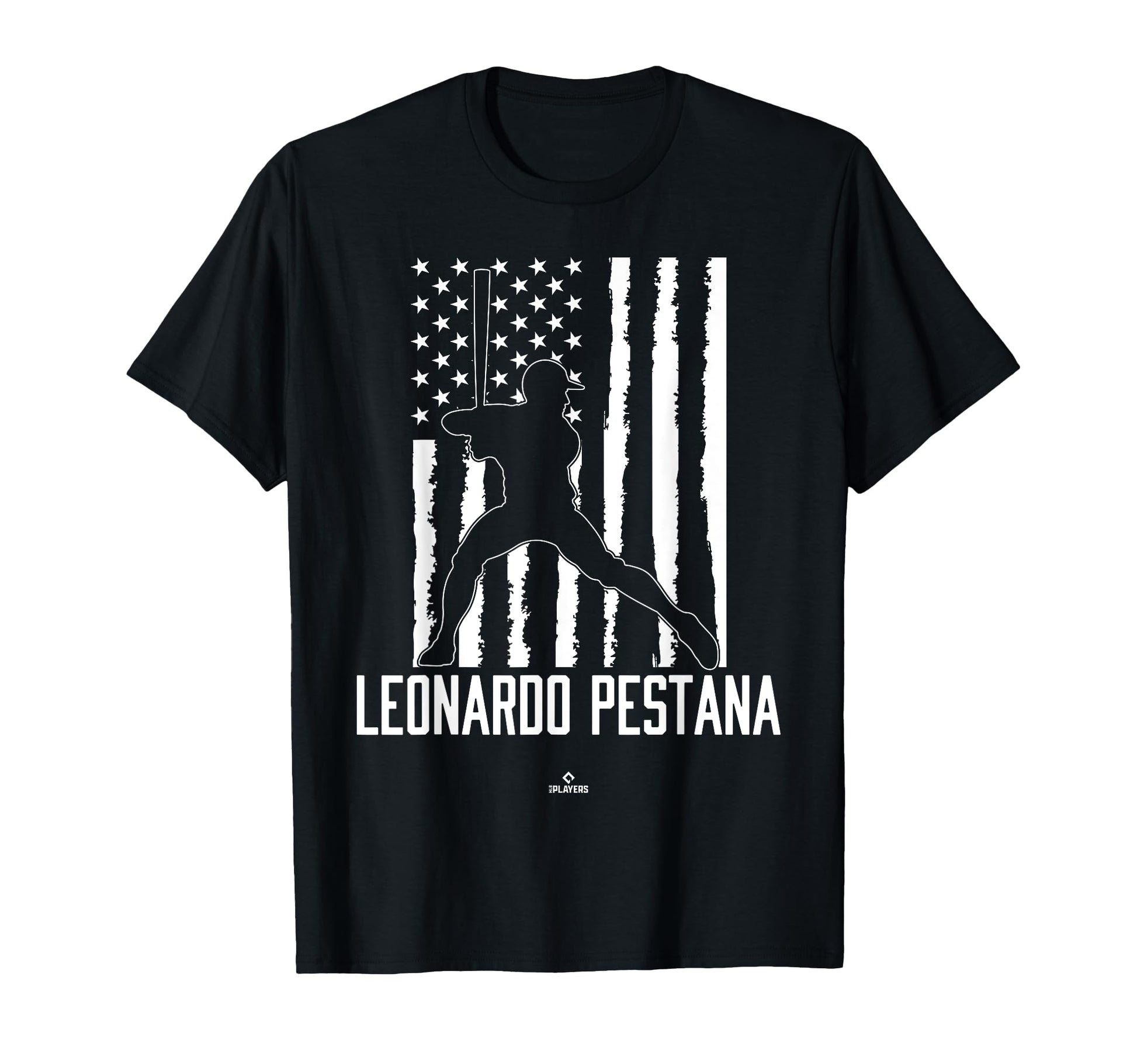 Distressed Flag Swing Leonardo T-Shirt - Minimalist Print for Adults - T-Shirt, Sweatshirt, Hoodie