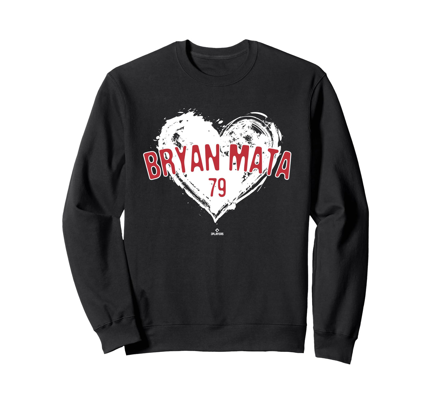 Distressed Heart Bryan Mata Sweatshirt - Fun Novelty Design for Adults - T-Shirt, Sweatshirt, Hoodie