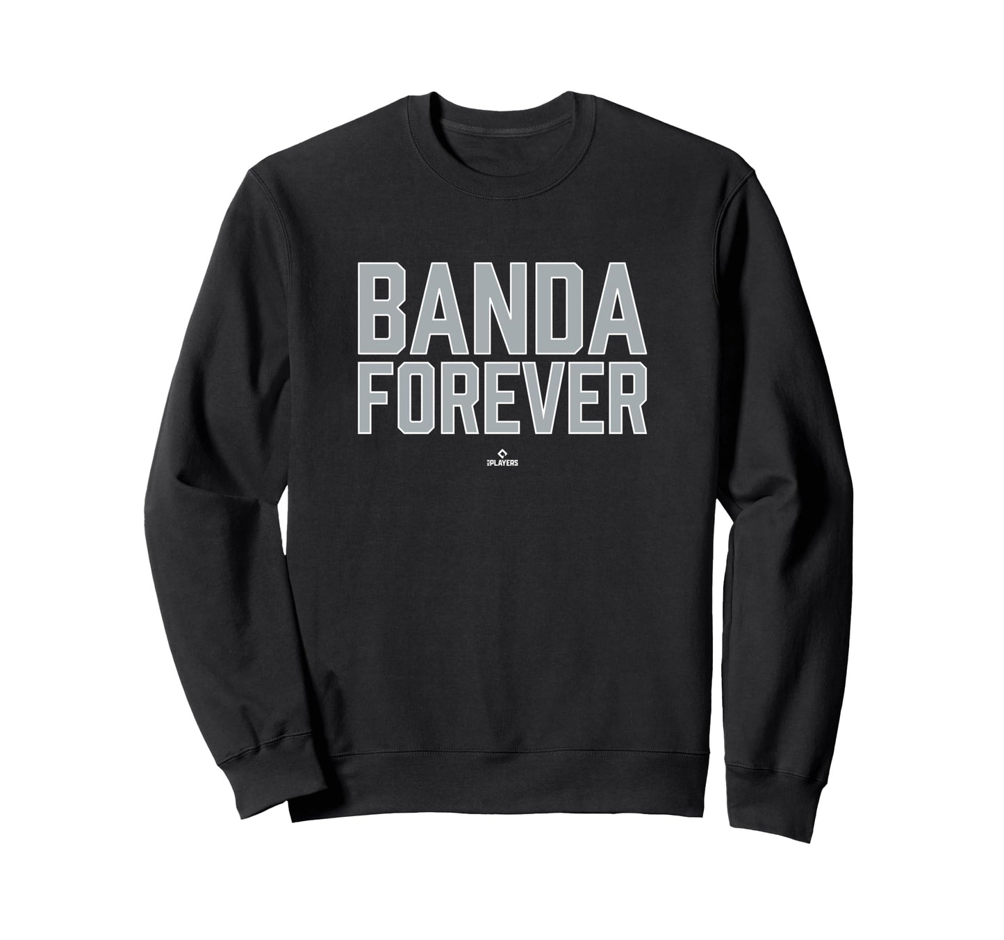 Forever Anthony Banda Prospect Sweatshirt - Casual Everyday Wear Unisex - T-Shirt, Sweatshirt, Hoodie