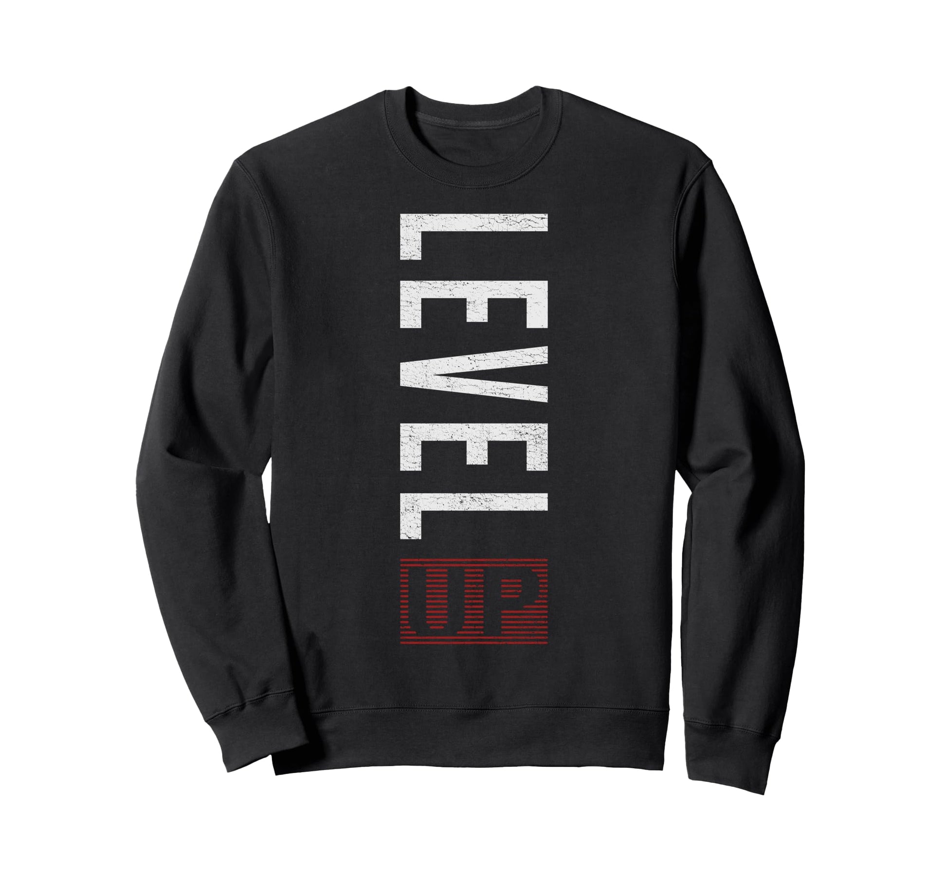 Y2K Fitness Gym Training Discipline Sweatshirt - Graphic Print for Adults - T-Shirt, Sweatshirt, Hoodie