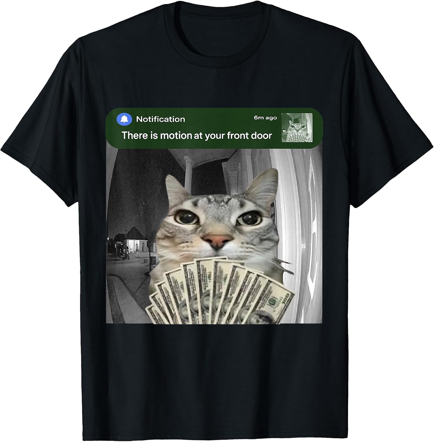 There is Motion at Your Front Door Funny Cat Meme - Adult & Kids T-Shirts, Sweatshirts & Hoodies apparel design preview 1