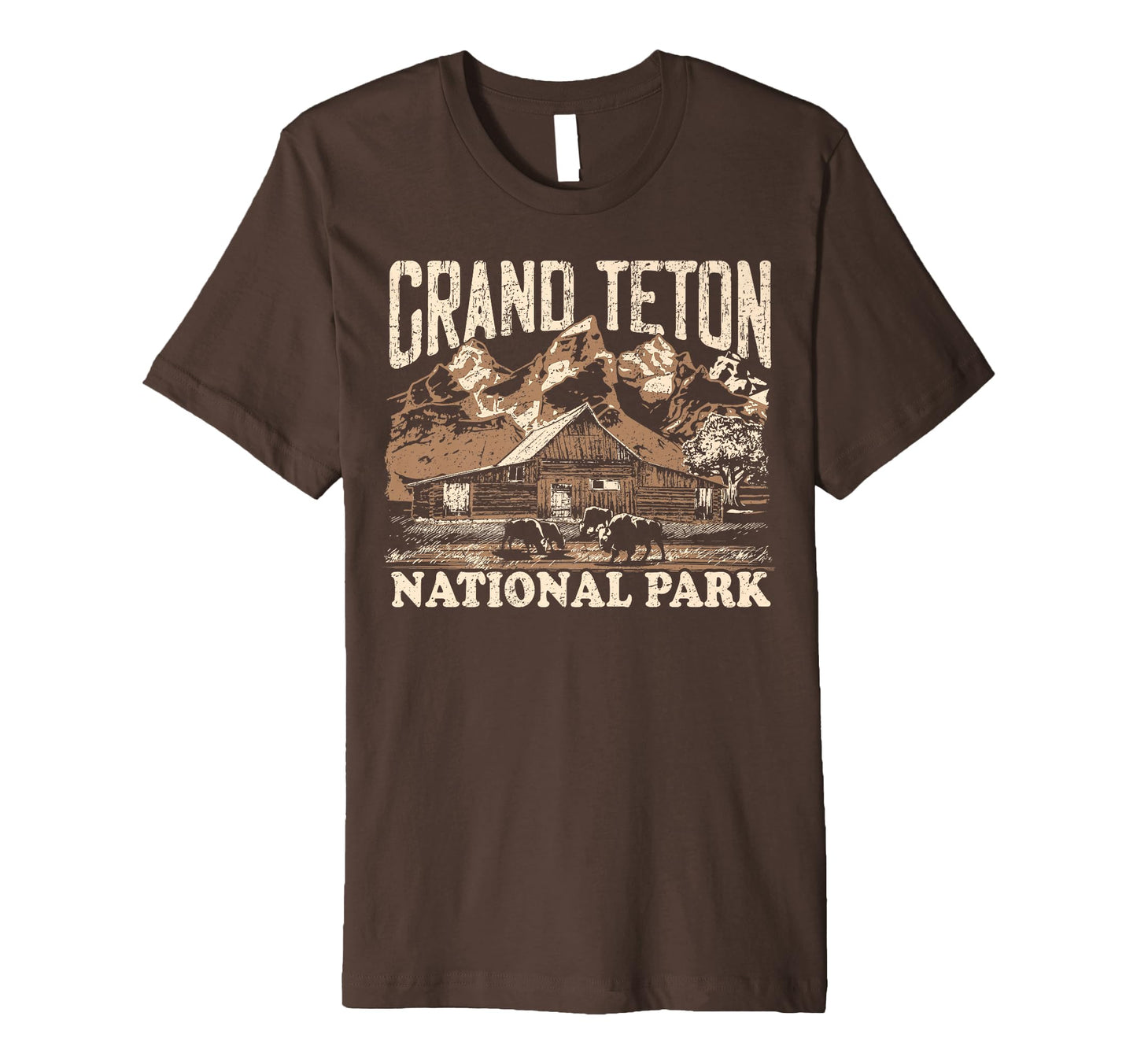 Grand Teton National Park Distressed T-Shirt - Aesthetic Graphic for Adults - T-Shirt, Sweatshirt, Hoodie