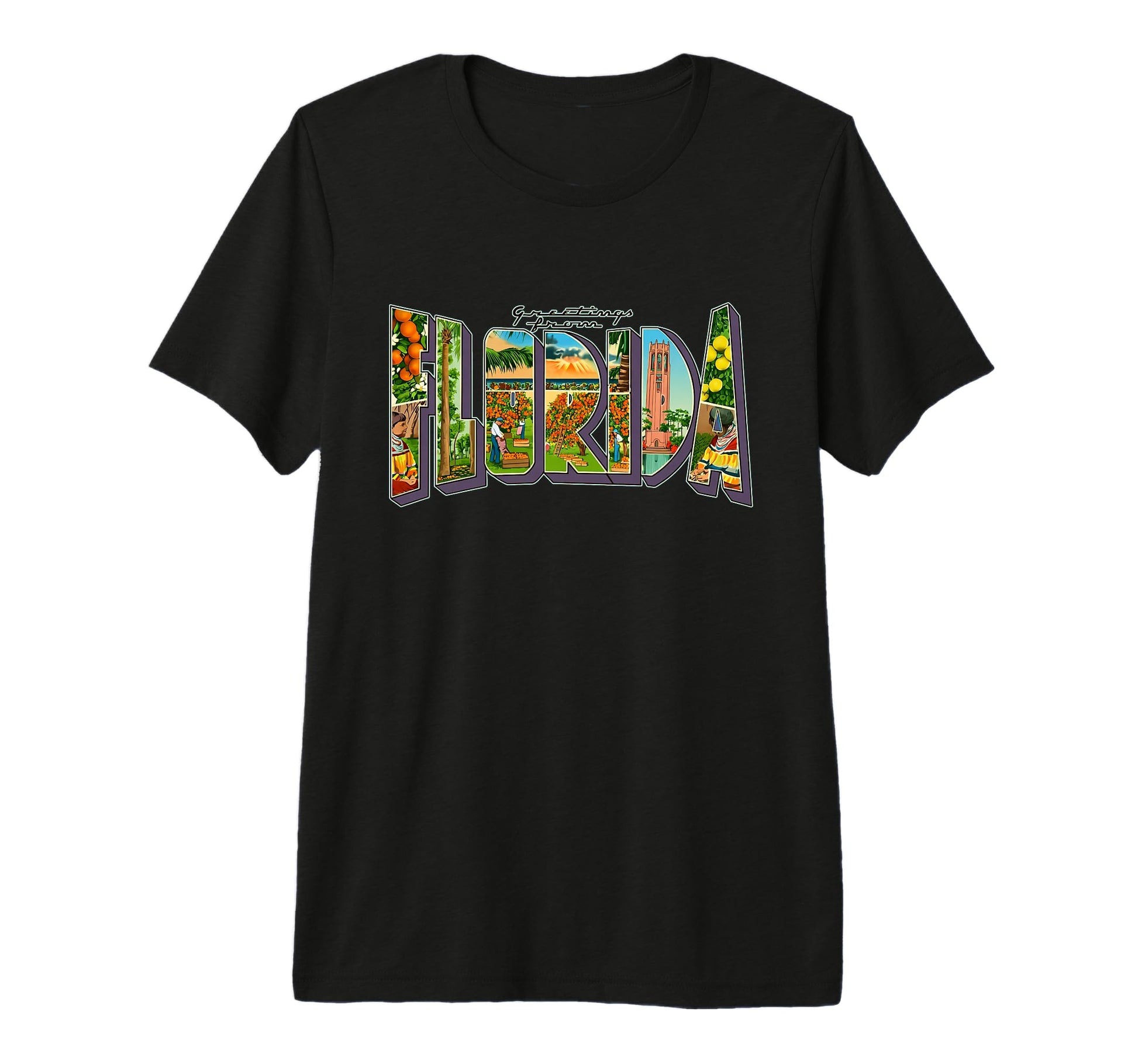 Greetings From Florida Postcard T-Shirt - Casual Everyday Wear for Adults - T-Shirt, Sweatshirt, Hoodie