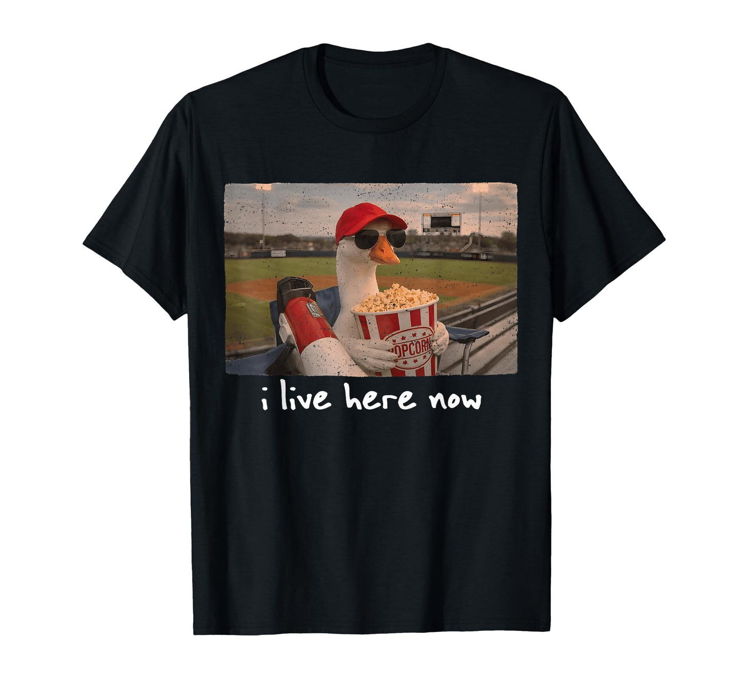 Funny Goose Ballfield Baseball Field I T-Shirt - Minimalist Print Unisex - T-Shirt, Sweatshirt, Hoodie