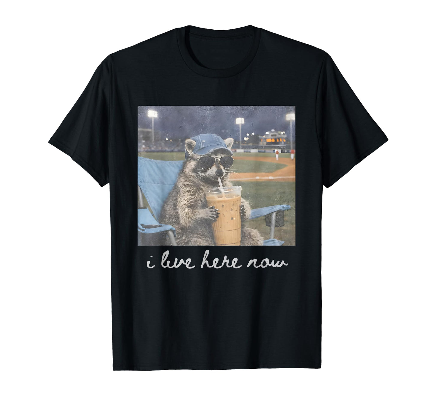 Funny Ballfield Baseball Raccoon Ice T-Shirt - Graphic Print for Adults - T-Shirt, Sweatshirt, Hoodie