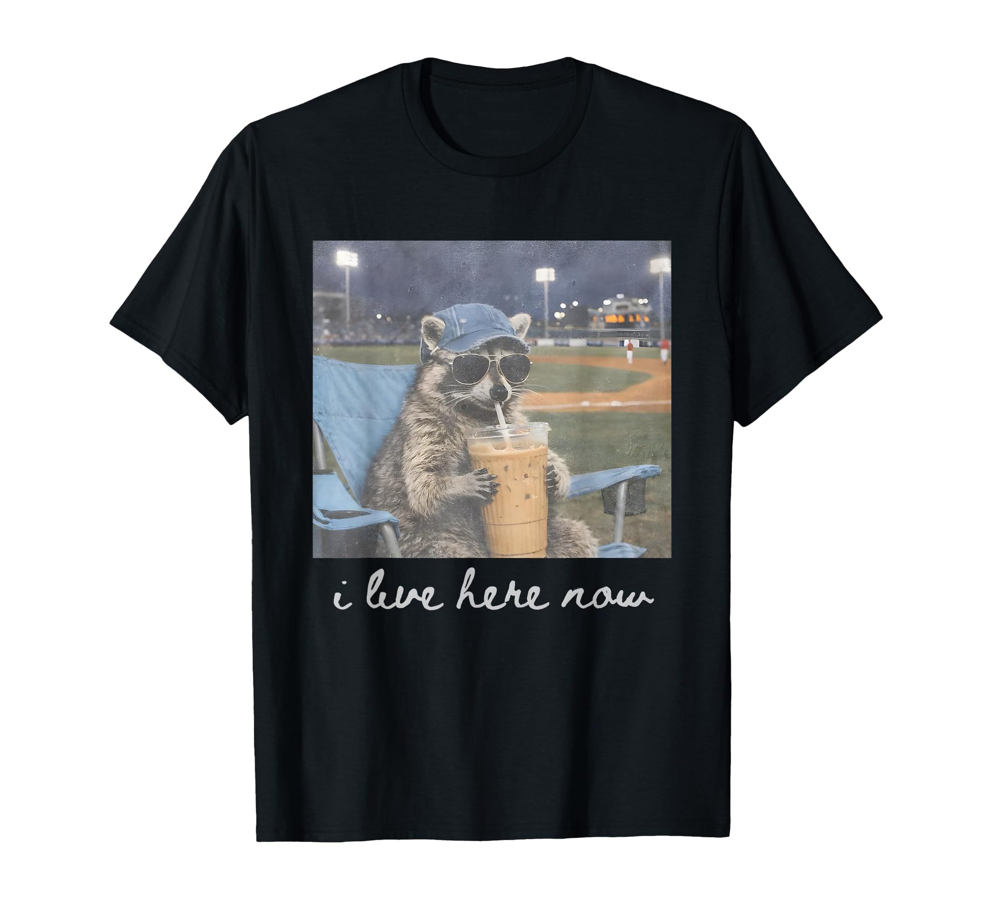 Funny Ballfield Baseball Raccoon Ice T-Shirt - Graphic Print for Adults - T-Shirt, Sweatshirt, Hoodie