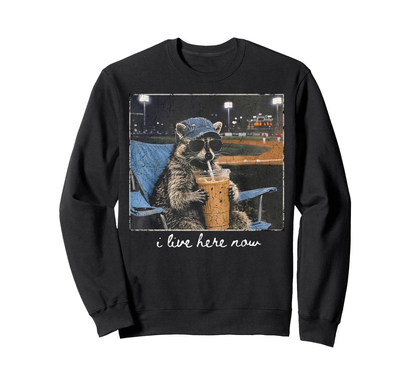 Funny Raccoon I Live Here Now Animal Sweatshirt - Trendy Graphic Unisex - T-Shirt, Sweatshirt, Hoodie