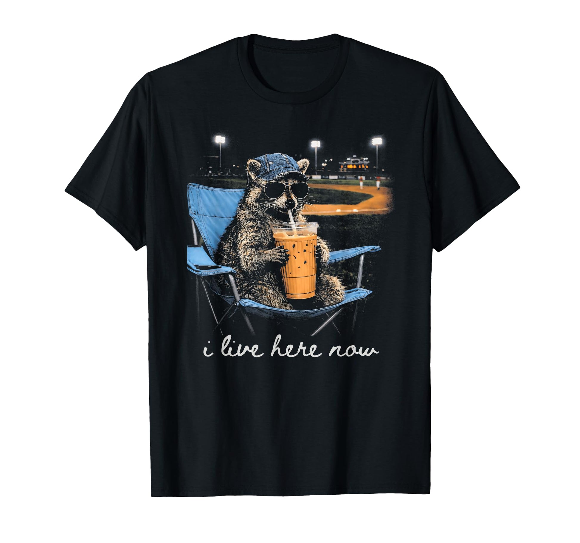 Funny Raccoon Ballfield Baseball T-Shirt - Minimalist Print for Adults - T-Shirt, Sweatshirt, Hoodie