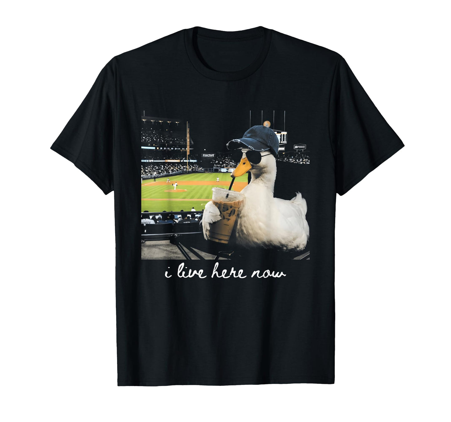 Funny Goose Ballfield Baseball Field I T-Shirt - Novelty Apparel Unisex - T-Shirt, Sweatshirt, Hoodie
