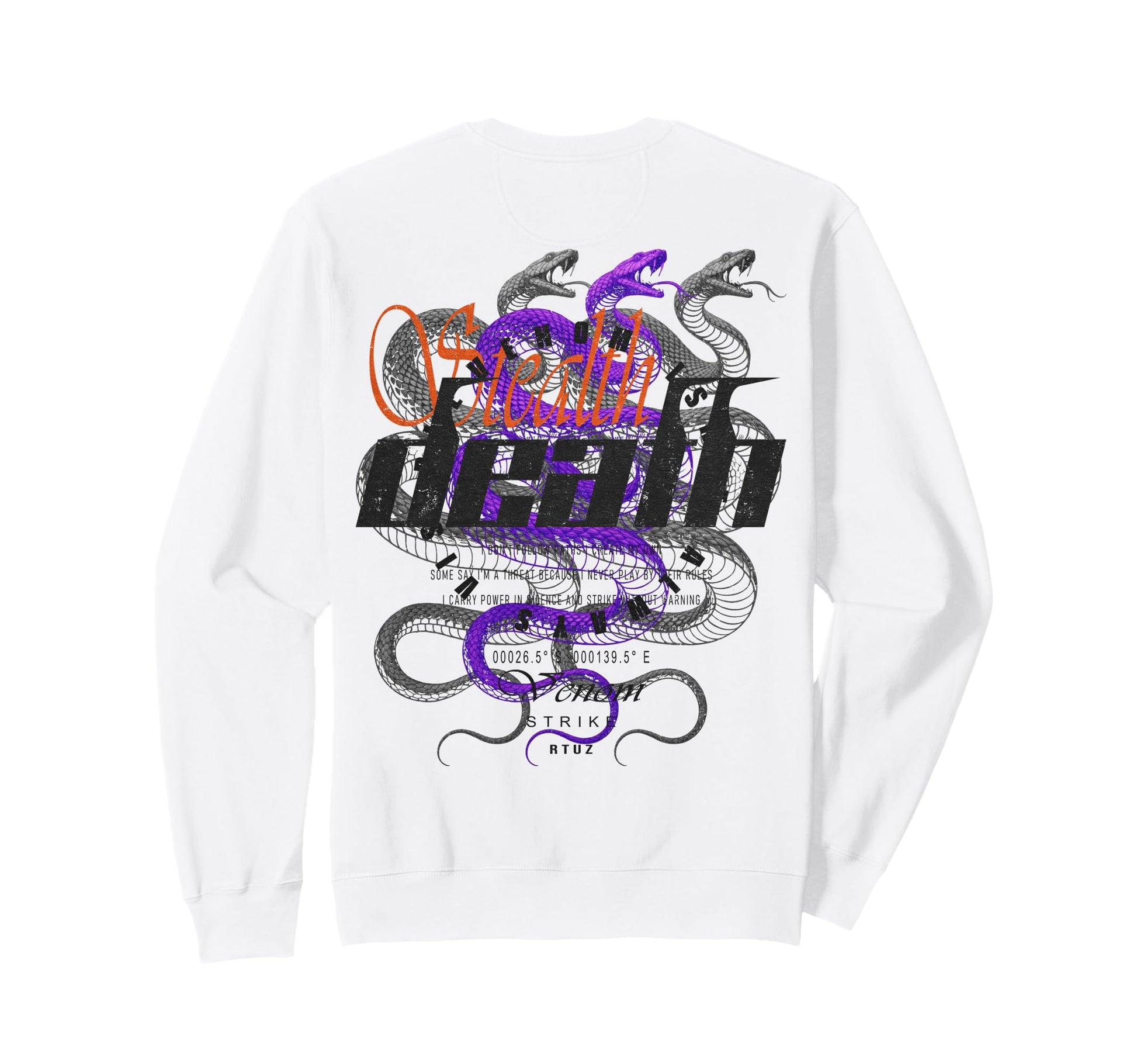 Y2K Back Streetwear Sweatshirt - Graphic Print for Adults - T-Shirt, Sweatshirt, Hoodie