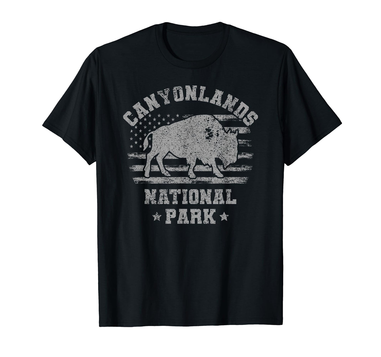 Canyonlands National Park Us T-Shirt - Aesthetic Graphic for Adults - T-Shirt, Sweatshirt, Hoodie