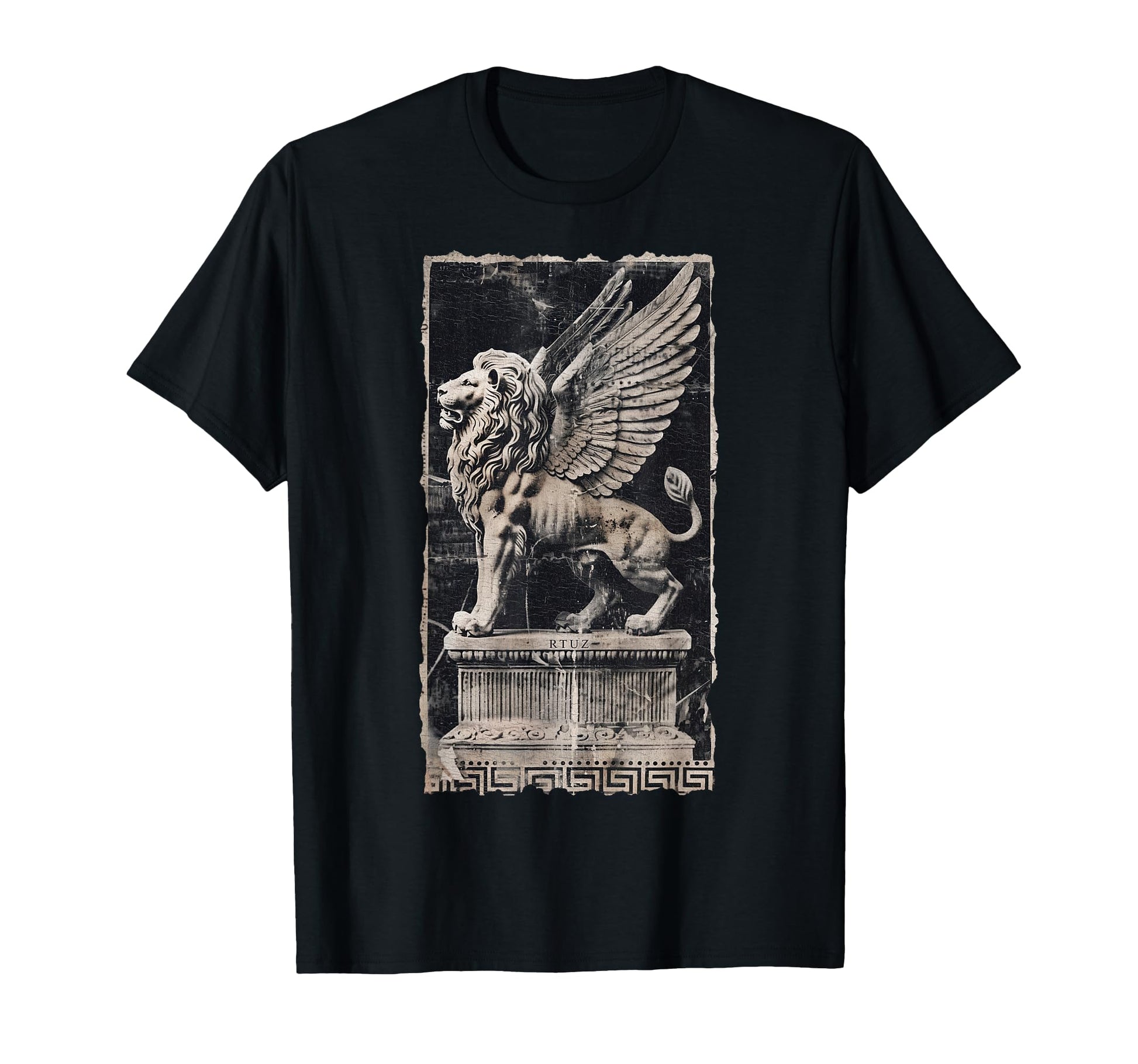 Aesthetic Streetwear Lion T-Shirt - Fun Novelty Design Men Women - T-Shirt, Sweatshirt, Hoodie
