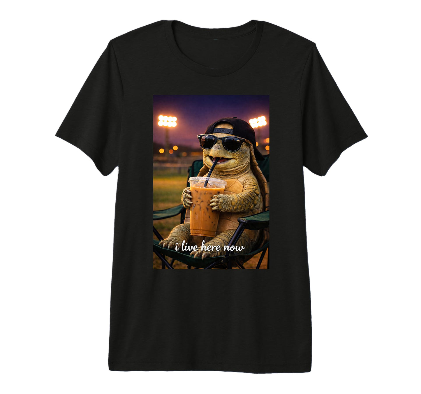 Funny Turtle Ballfield Baseball T-Shirt - Fun Novelty Design for Adults - T-Shirt, Sweatshirt, Hoodie