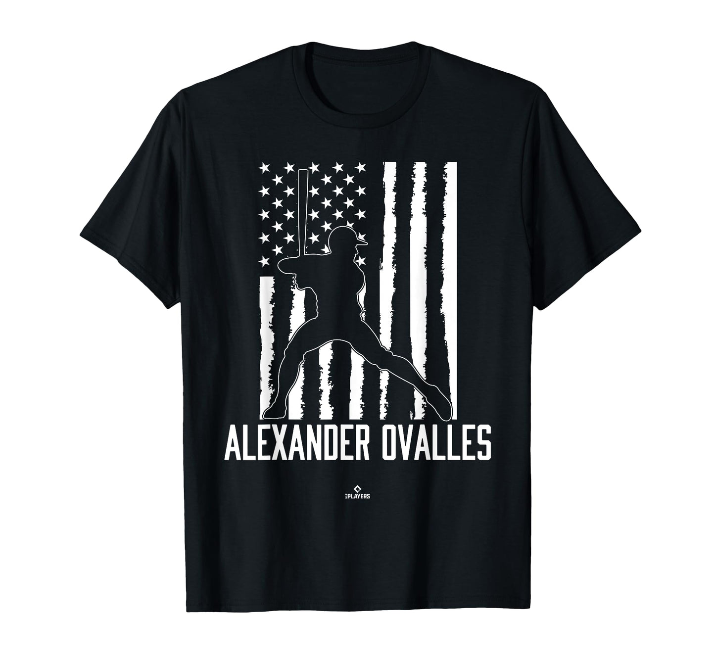 Distressed Flag Swing Alexander T-Shirt - Trendy Graphic for Adults - T-Shirt, Sweatshirt, Hoodie