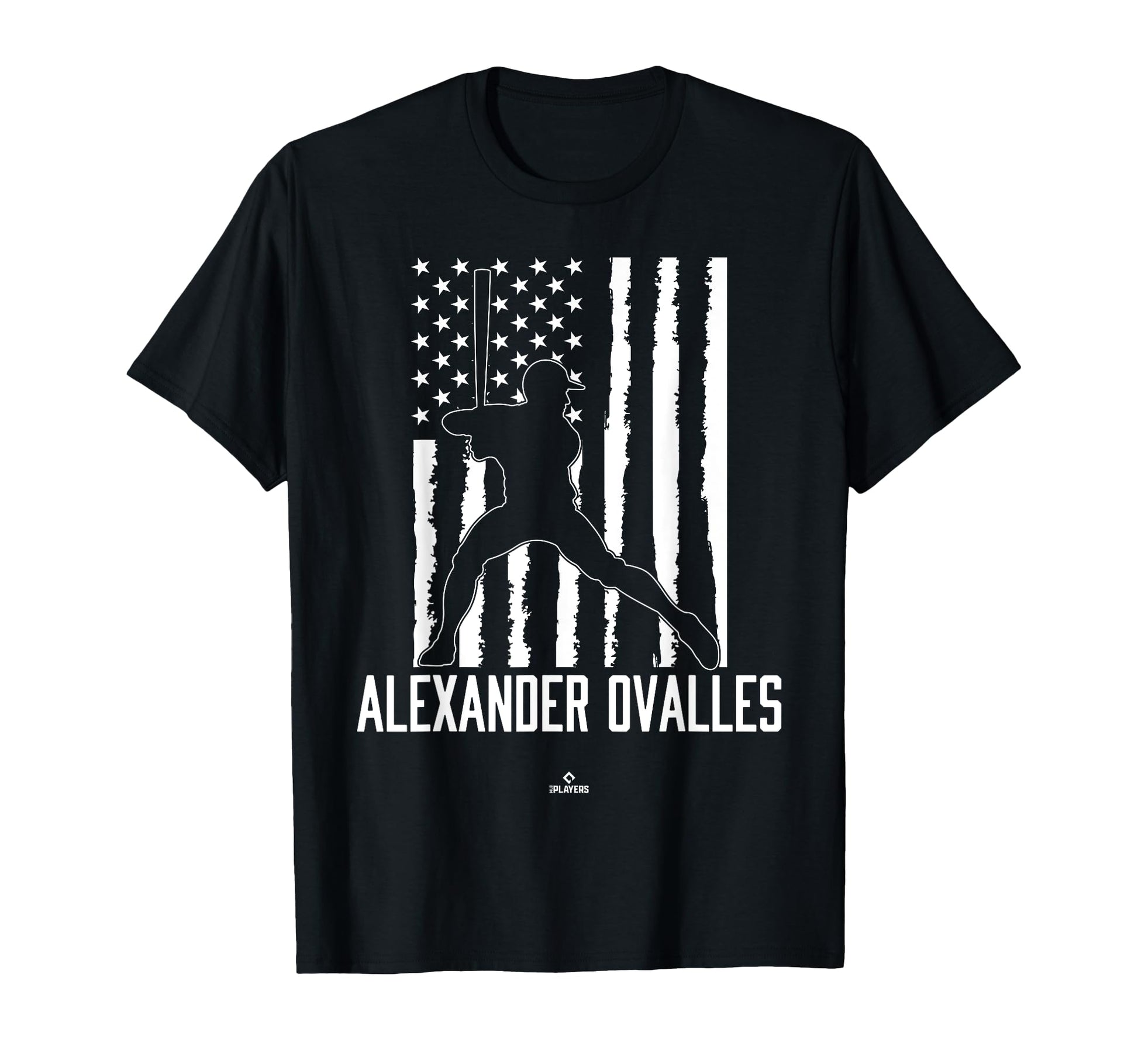 Distressed Flag Swing Alexander T-Shirt - Trendy Graphic for Adults - T-Shirt, Sweatshirt, Hoodie