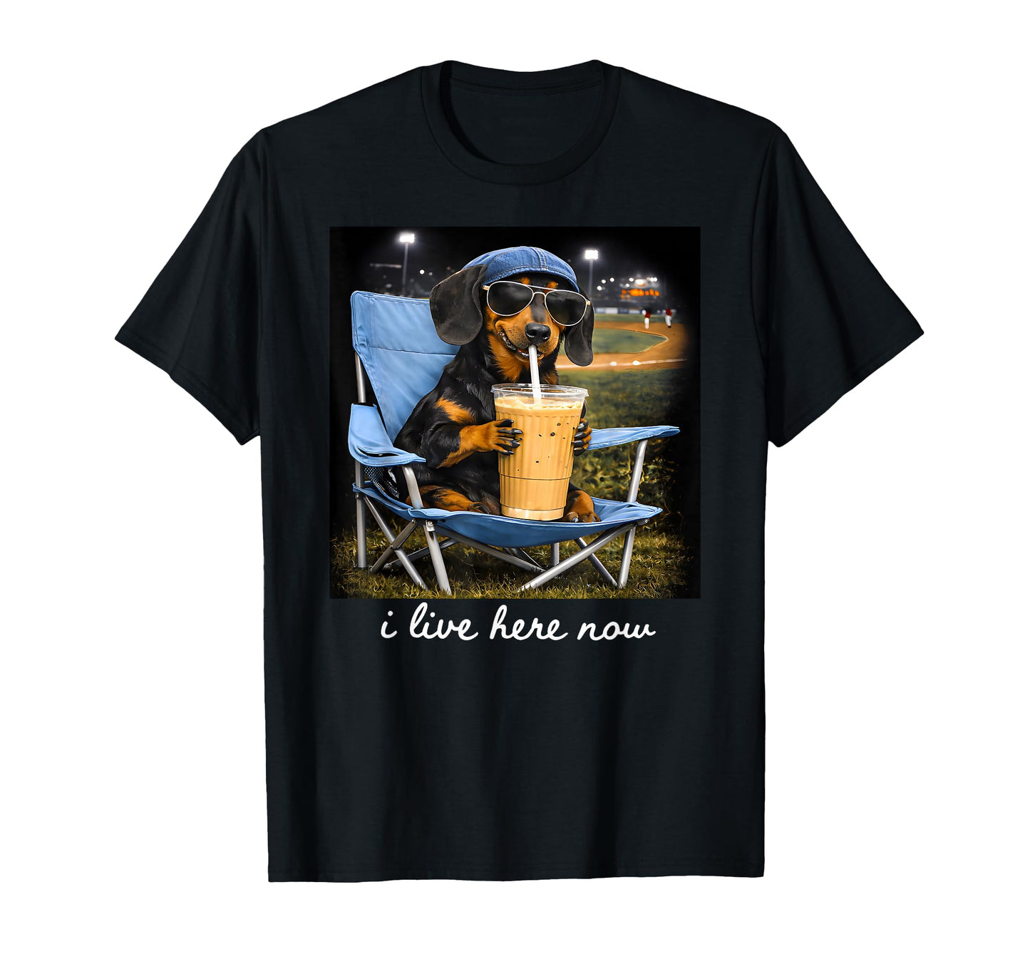 Funny Dog Ballfield Baseball T-Shirt - Casual Everyday Wear Men Women - T-Shirt, Sweatshirt, Hoodie