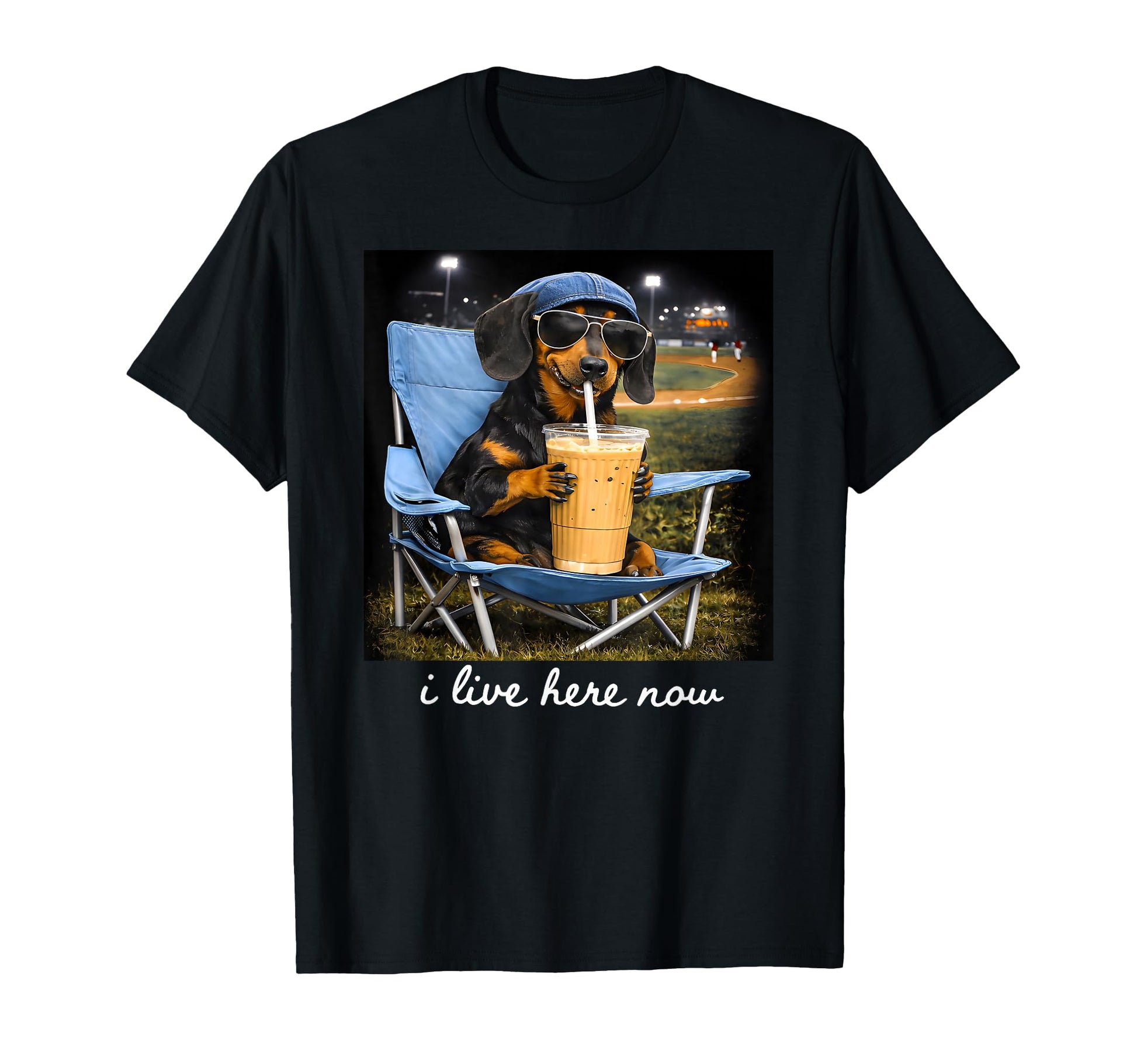 Funny Dog Ballfield Baseball T-Shirt - Casual Everyday Wear Men Women - T-Shirt, Sweatshirt, Hoodie