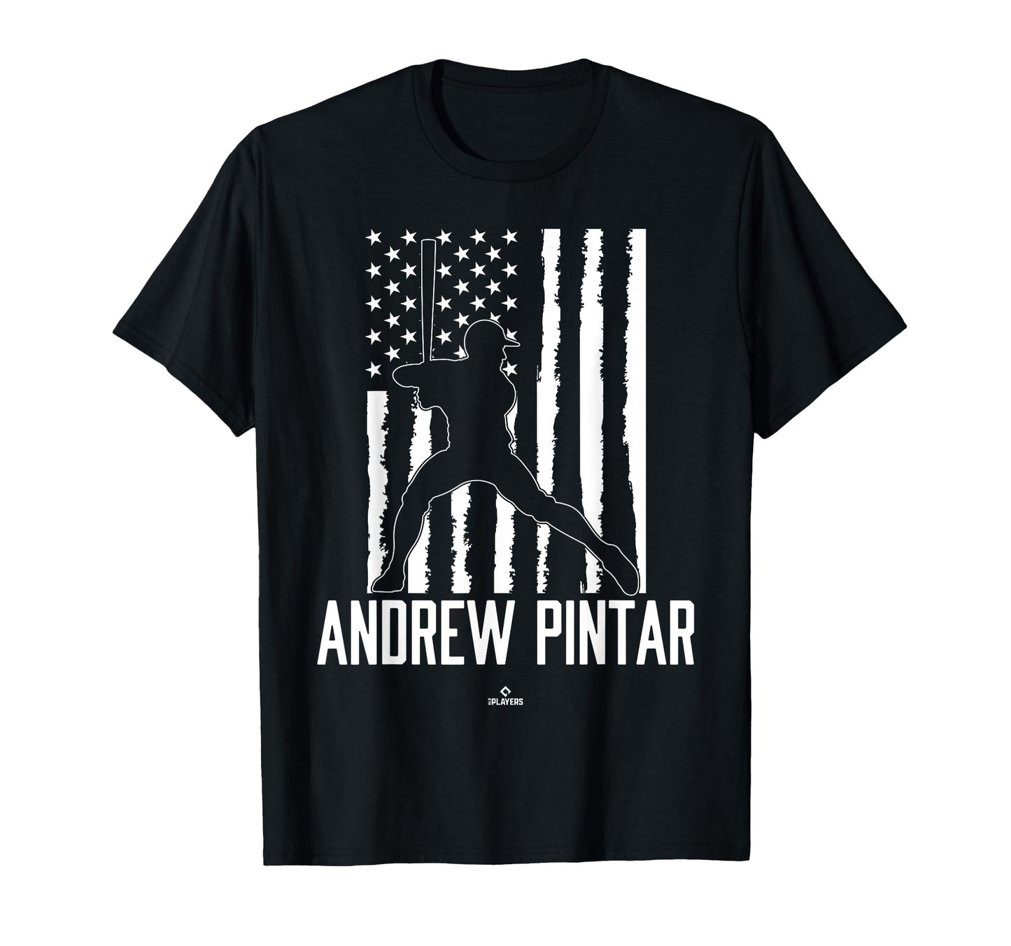 Distressed Flag Swing Andrew Pintar T-Shirt - Unique Graphic for Adults - T-Shirt, Sweatshirt, Hoodie