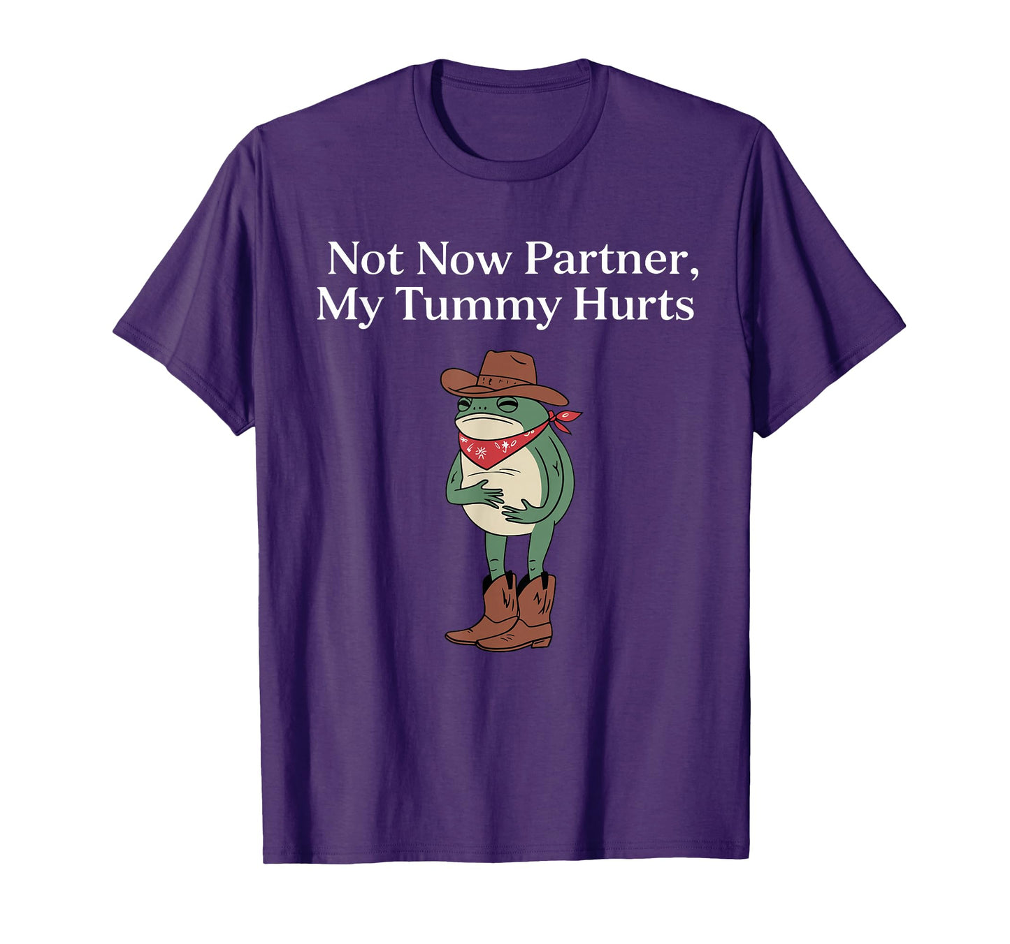 Not Now Partner My Tummy Hurts Funny T-Shirt - Graphic Print for Adults - T-Shirt, Sweatshirt, Hoodie