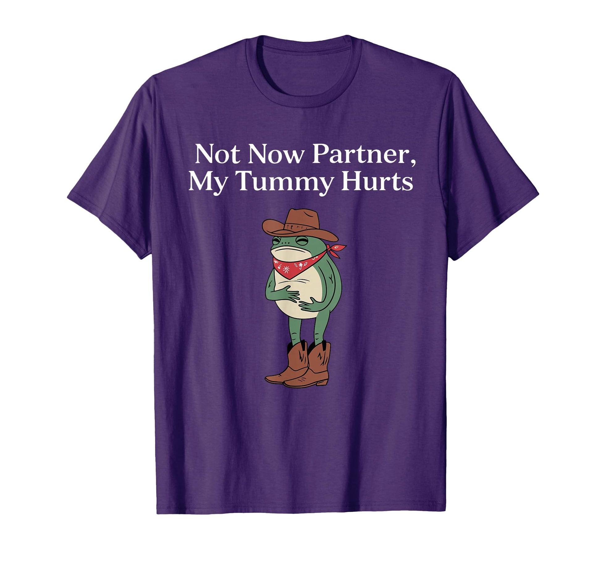 Not Now Partner My Tummy Hurts Funny T-Shirt - Graphic Print for Adults - T-Shirt, Sweatshirt, Hoodie