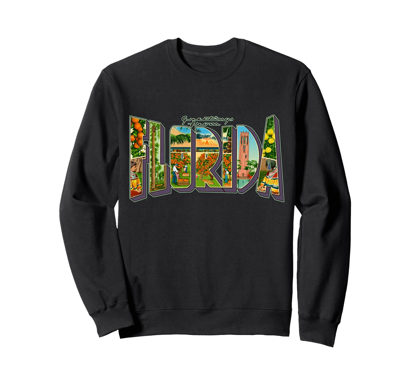 Greetings From Florida Postcard Sweatshirt - Novelty Apparel Men Women - T-Shirt, Sweatshirt, Hoodie