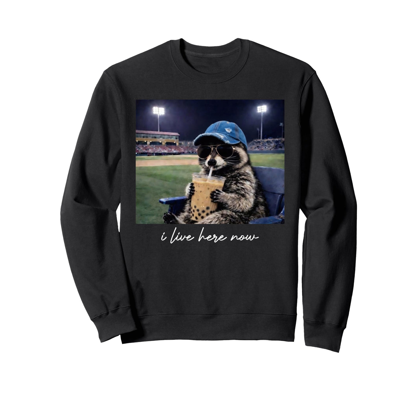 Racoon Funny Ballfield Dark Only Sweatshirt - Streetwear Style Men Women - T-Shirt, Sweatshirt, Hoodie