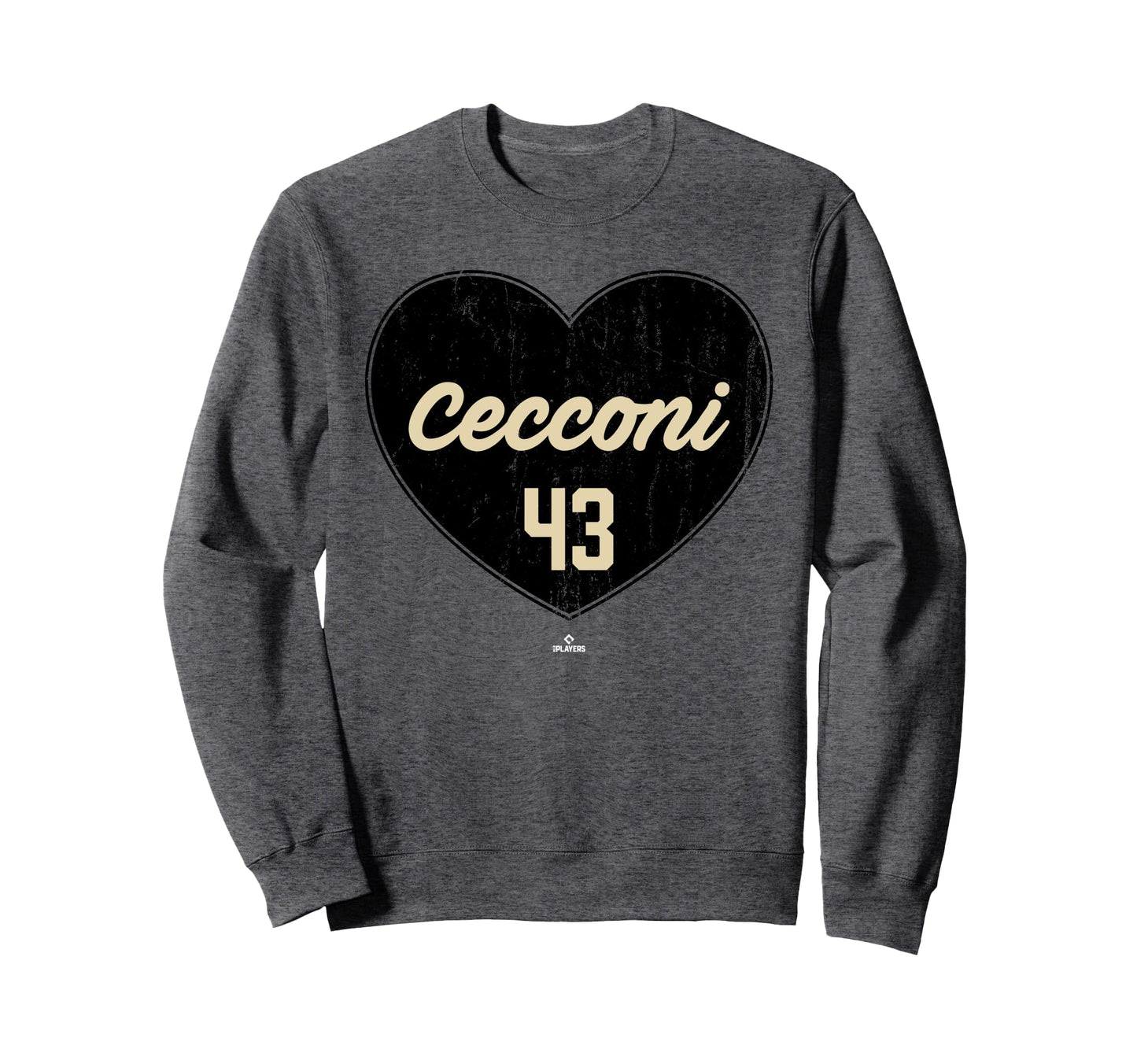 Distressed Heart Slade Cecconi Sweatshirt - Aesthetic Graphic for Adults - T-Shirt, Sweatshirt, Hoodie