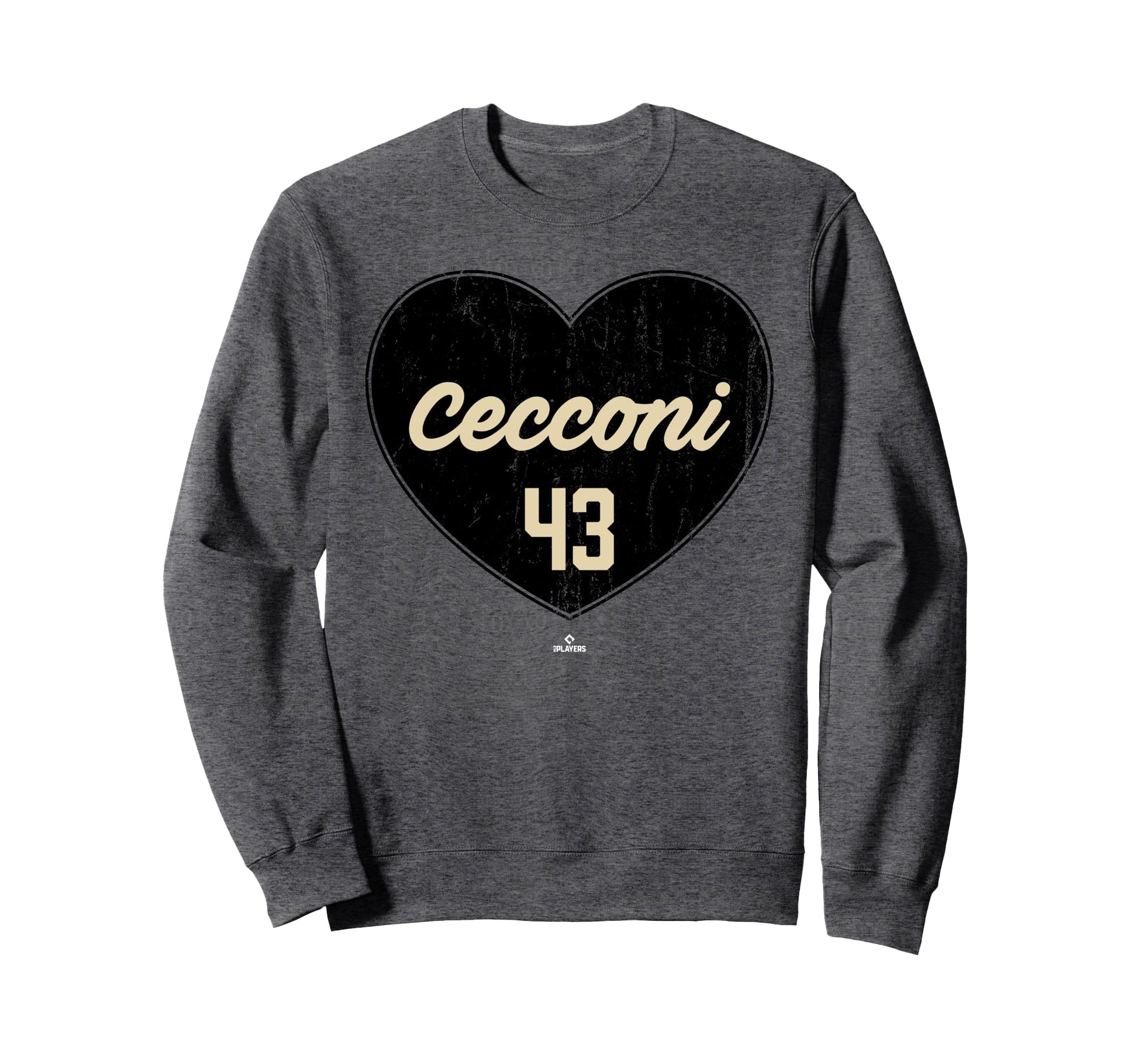 Distressed Heart Slade Cecconi Sweatshirt - Aesthetic Graphic for Adults - T-Shirt, Sweatshirt, Hoodie