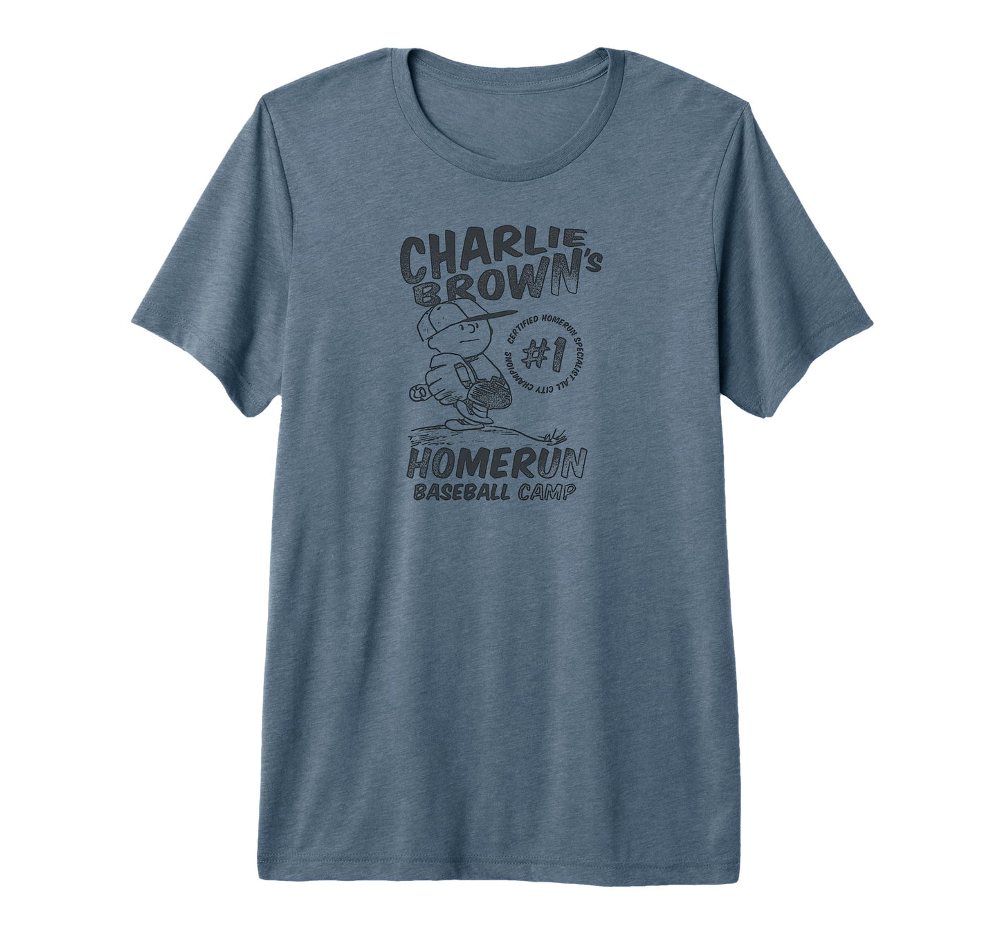 Charlie Brown Homerun Baseball Camp T-Shirt - Novelty Apparel for Adults - T-Shirt, Sweatshirt, Hoodie