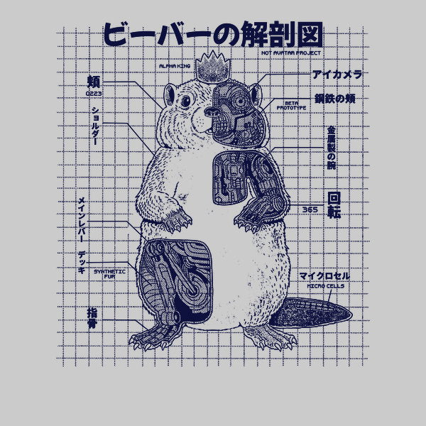 Beaver Anatomy - Adult & Kids T-Shirts, Sweatshirts & Hoodies apparel design preview 1