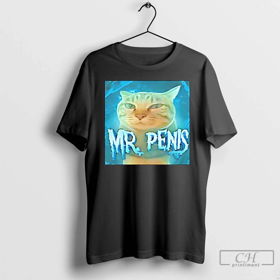 Classic Mr Penis Cat Meme Christmas - Adult & Kids T-Shirts, Sweatshirts & Hoodies apparel design preview 1