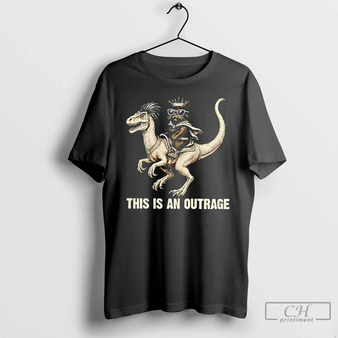 Classic This Is An Outrage For Cat Lover - Adult & Kids T-Shirts, Sweatshirts & Hoodies apparel design preview 1