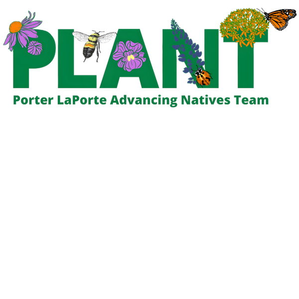 Plant - Adult & Kids T-Shirts, Sweatshirts & Hoodies apparel design preview 1