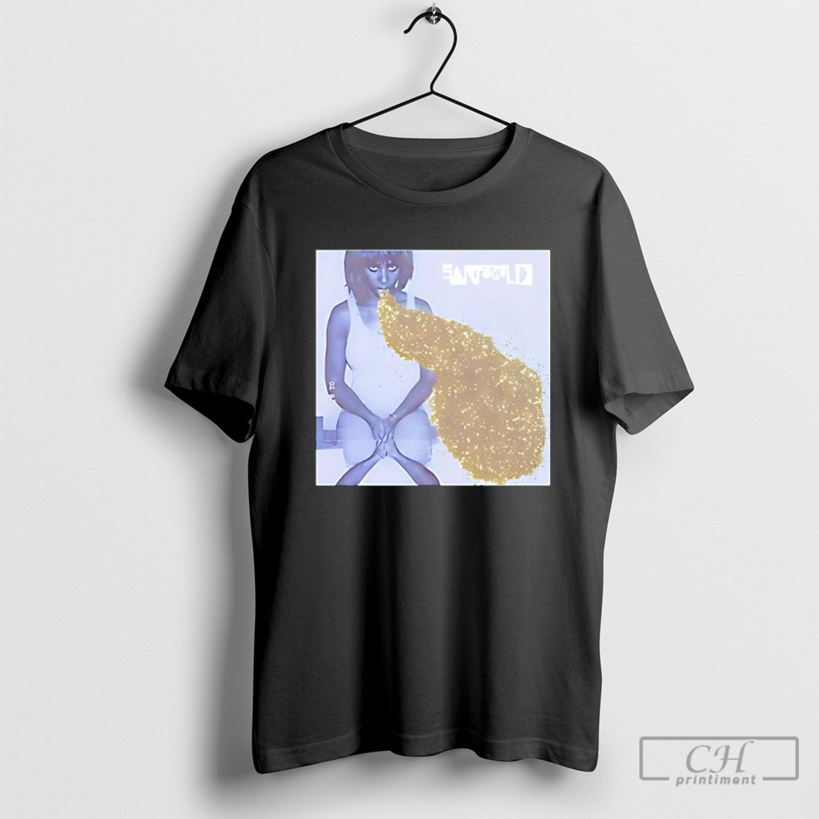 Santigold Santogold Album Cover - Adult & Kids T-Shirts, Sweatshirts & Hoodies apparel design preview 1