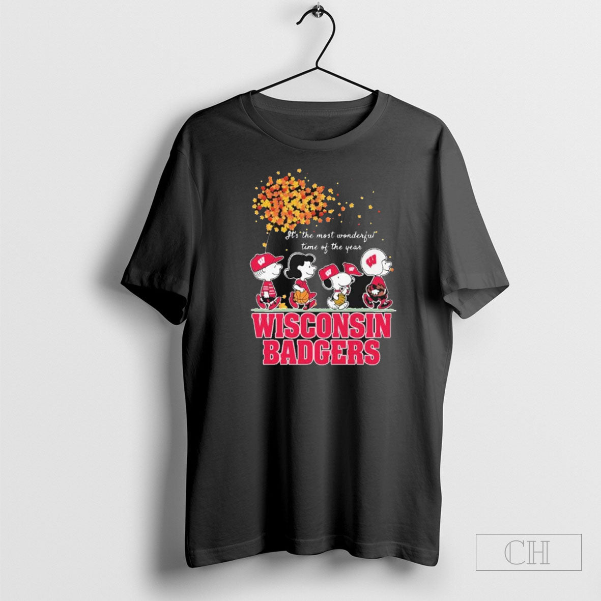 Wisconsin Badgers And Peanuts Character Its The Most - Adult & Kids T-Shirts, Sweatshirts & Hoodies apparel design preview 1