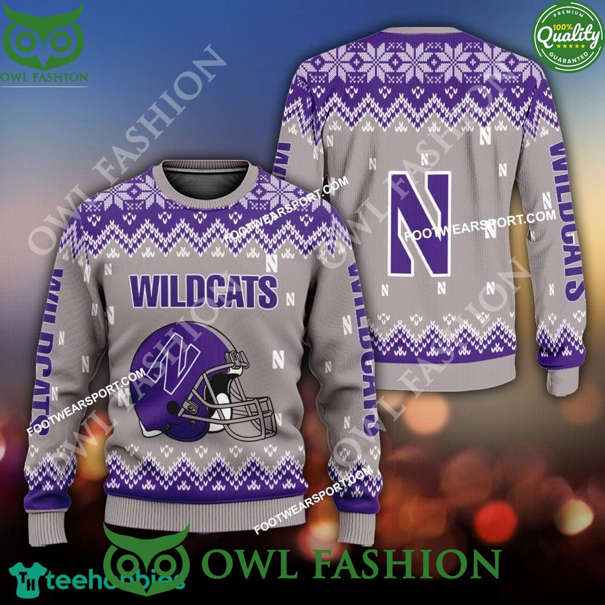 Logo Pattern Helmet Northwestern Wildcats Xmas 3D - Adult & Kids T-Shirts, Sweatshirts & Hoodies apparel design preview 1